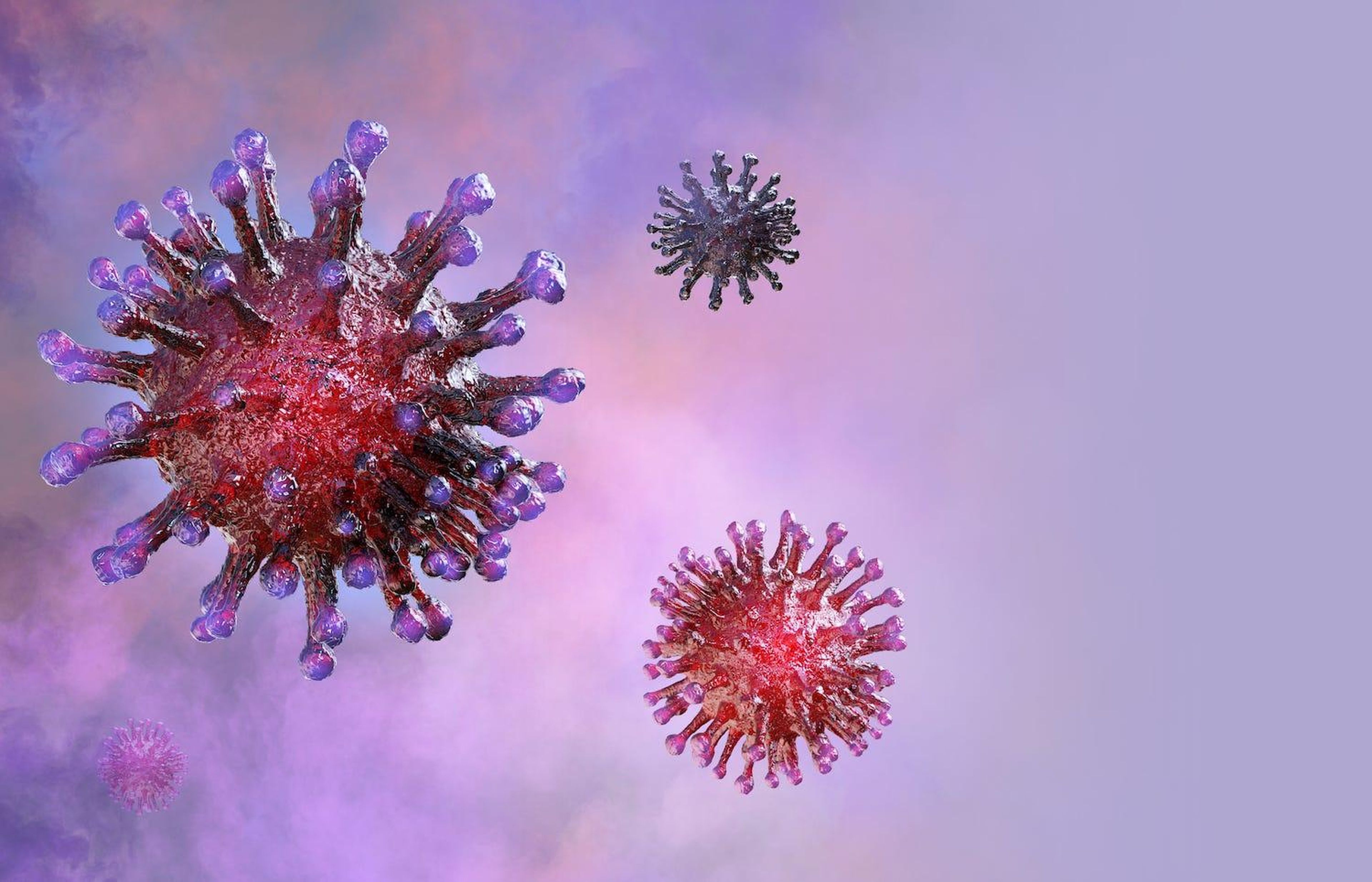 Una representación de partículas de coronavirus.