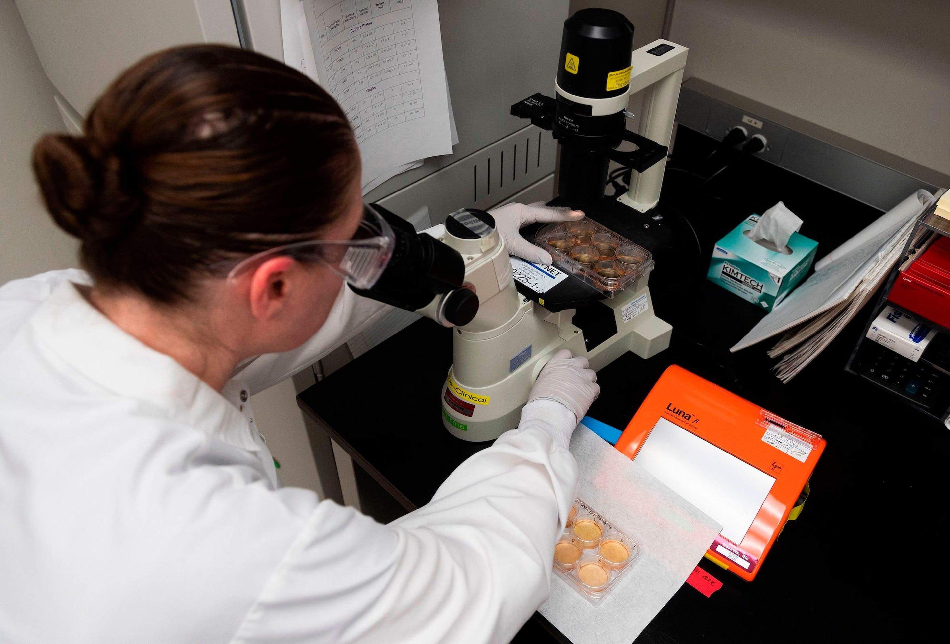 Un investigador mira las muestras de proteínas en los laboratorios de Novavax, el 20 de marzo.