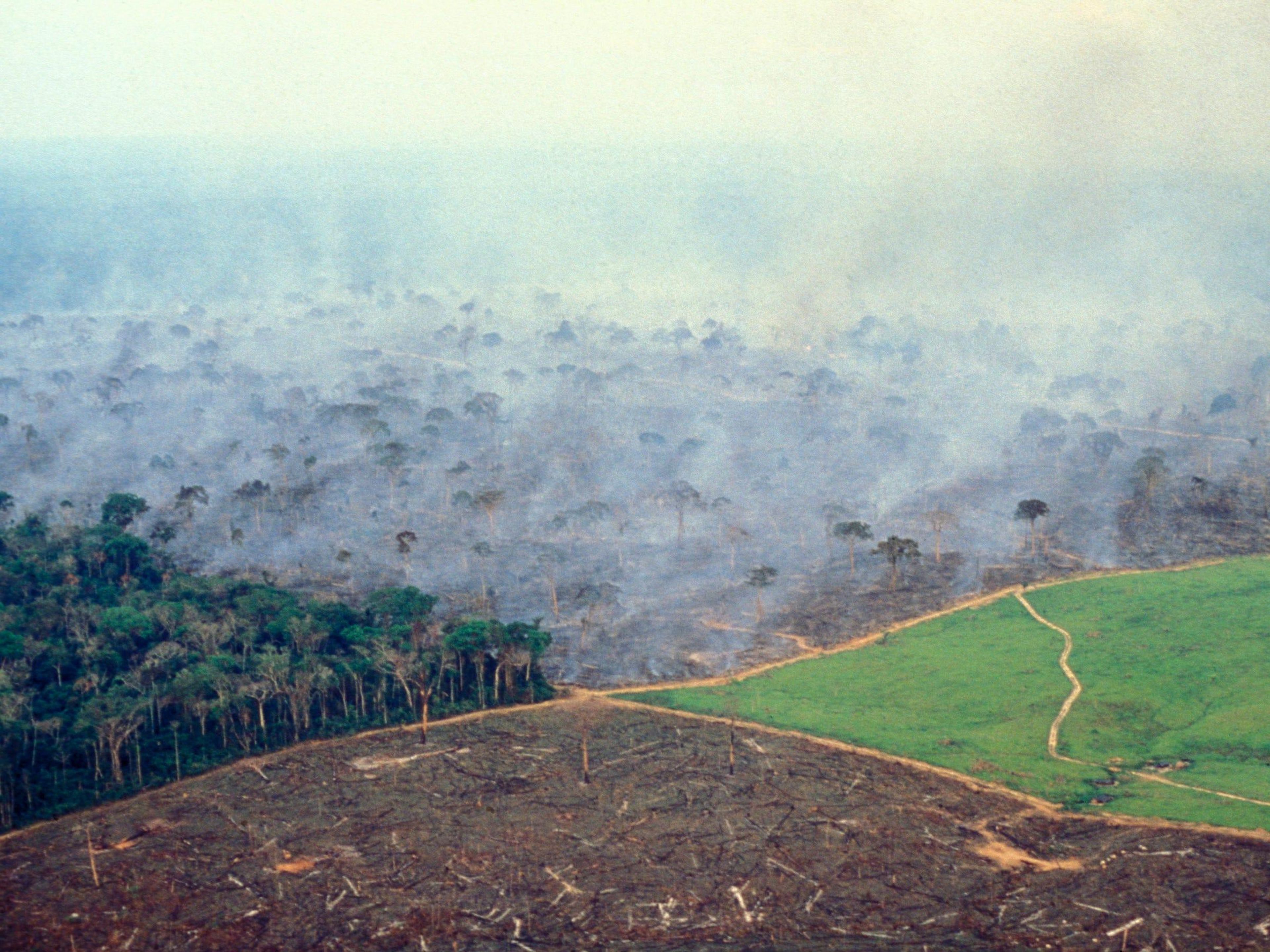 Las 4 etapas de la gestión de la tierra en una gran granja de ganado en la Amazonia brasileña.