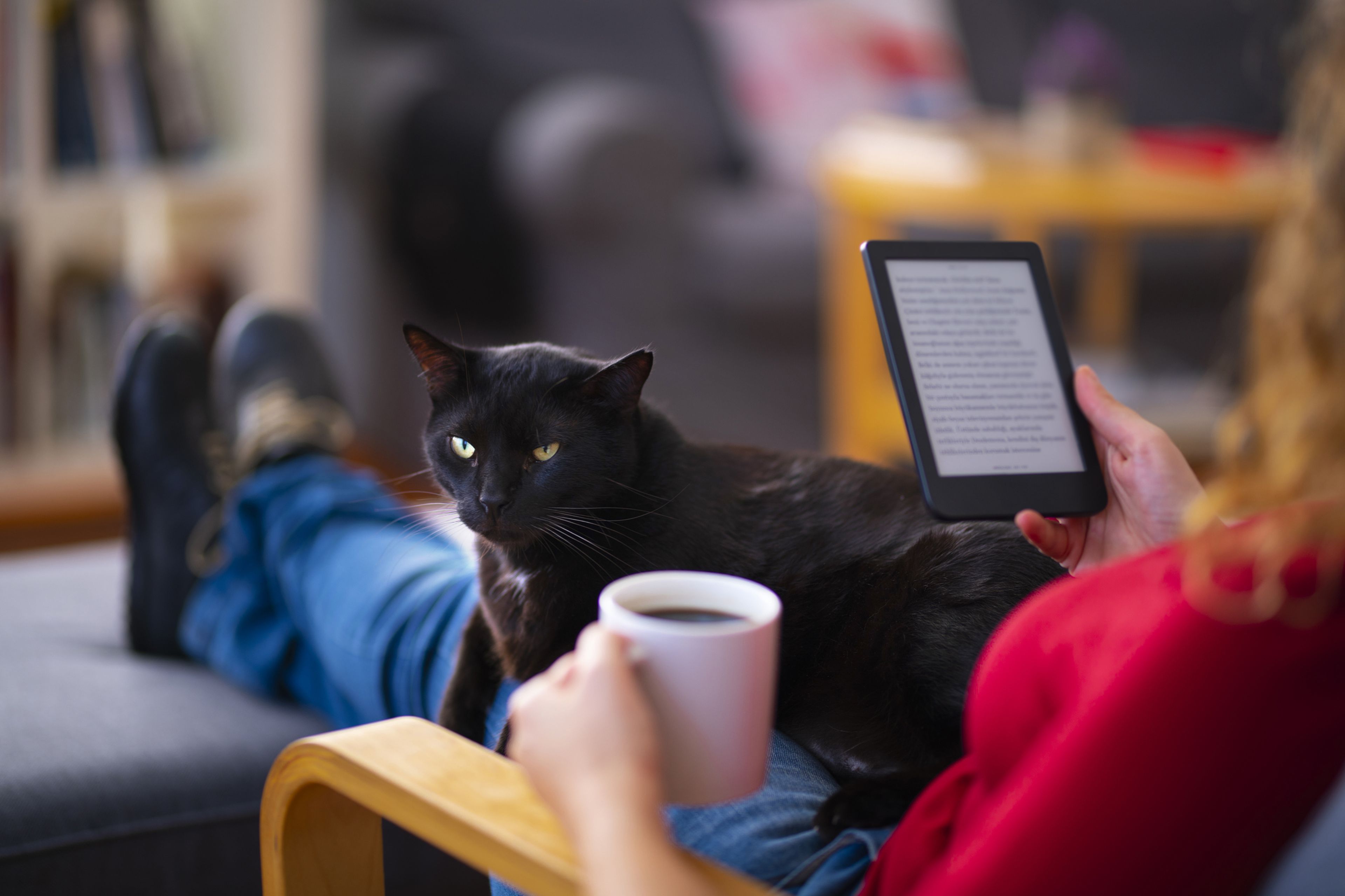 Mujer lee en un ebook con un café y su gato.