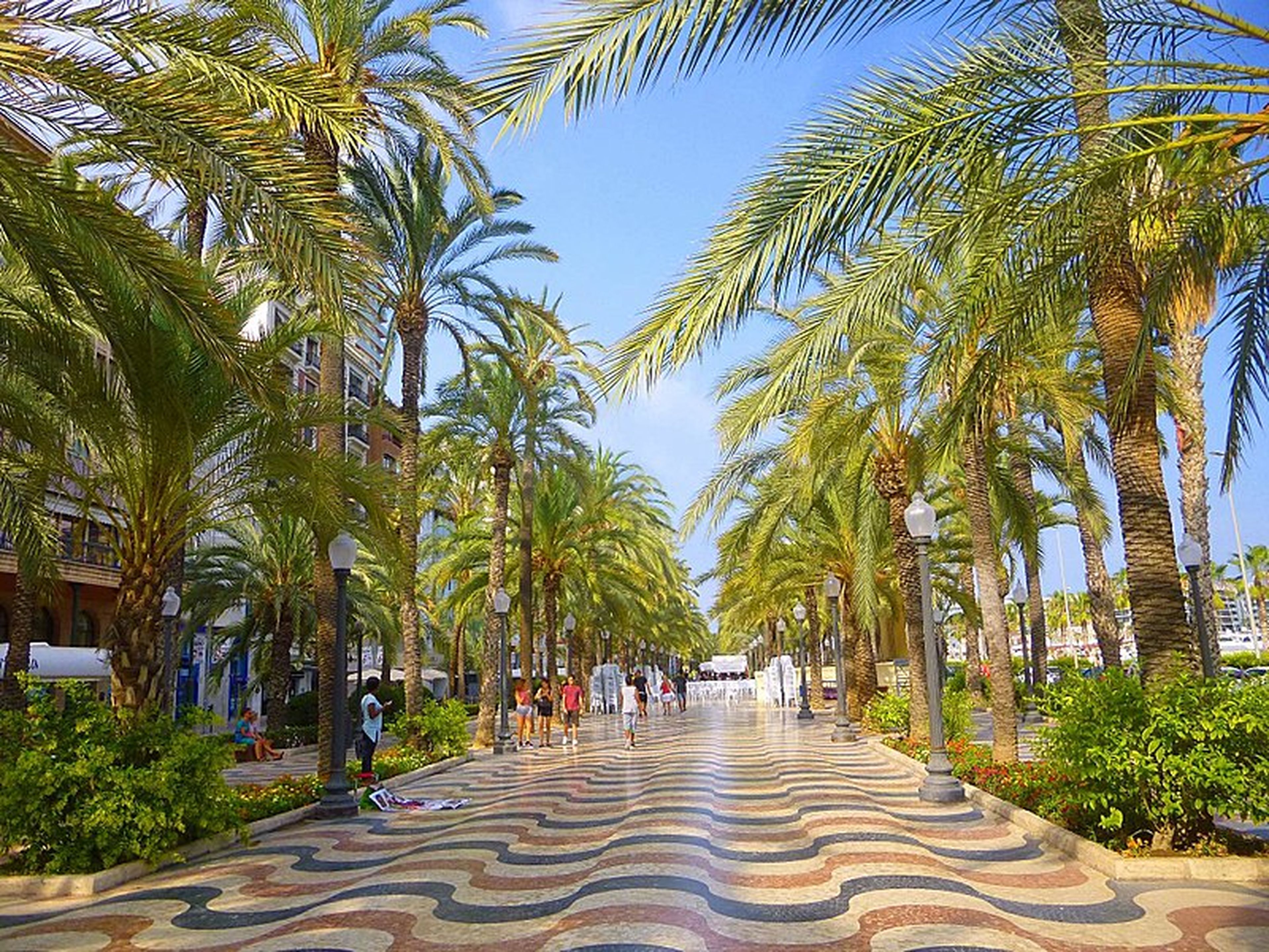 Paseo de la Explanada, Alicante.