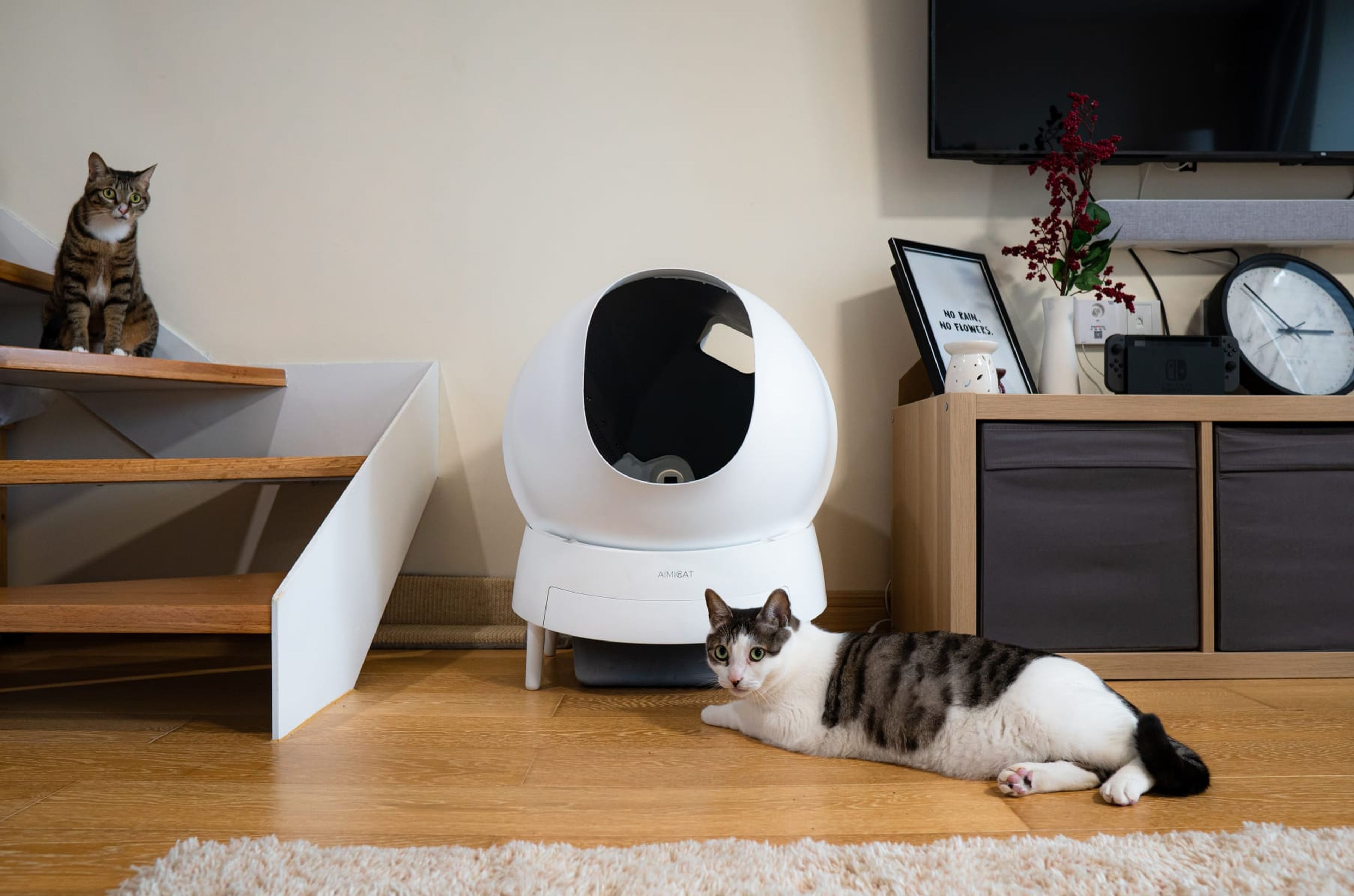 Arenero automático para gatos Aimicat
