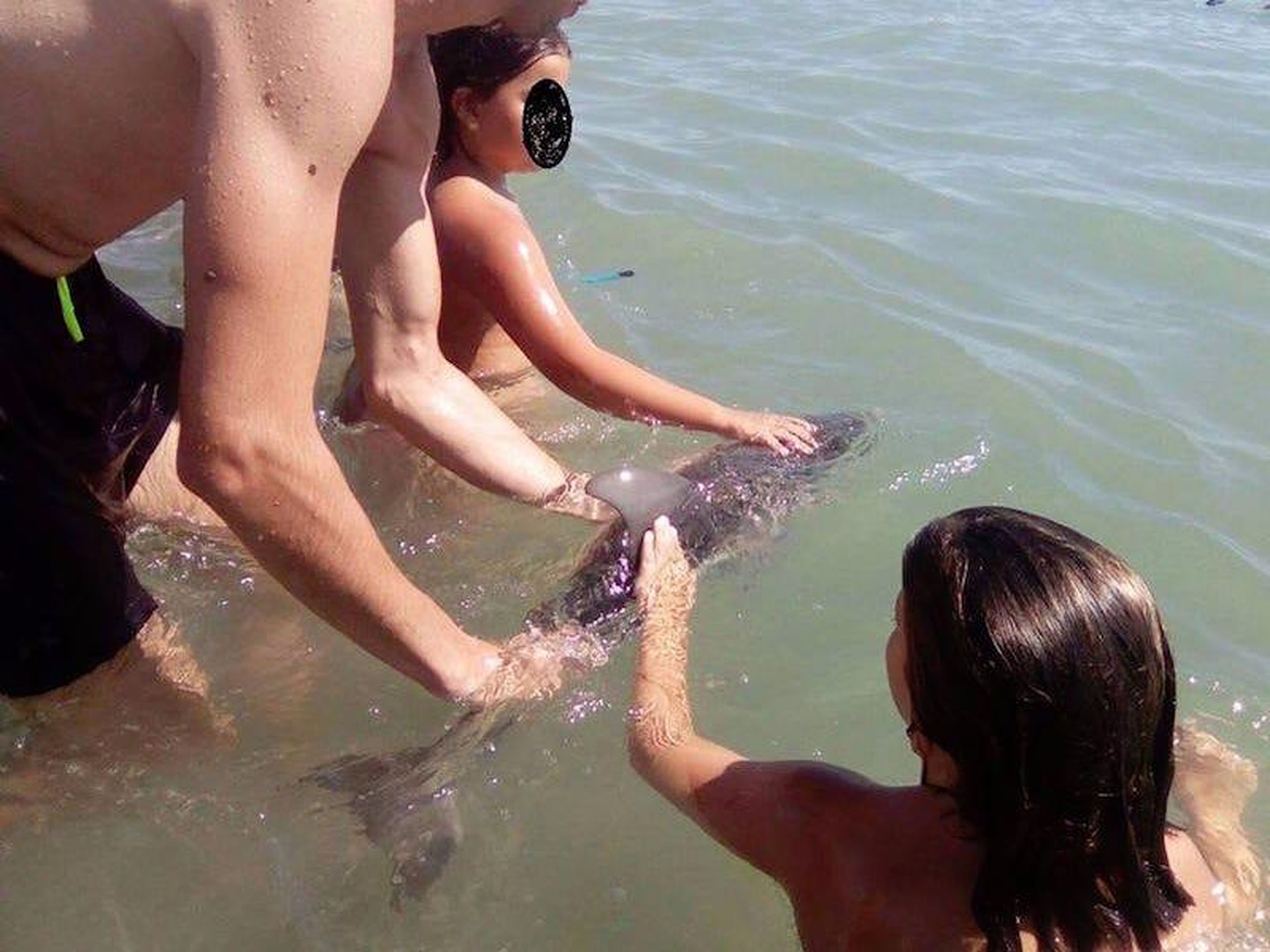 Turistas tocando el delfín.