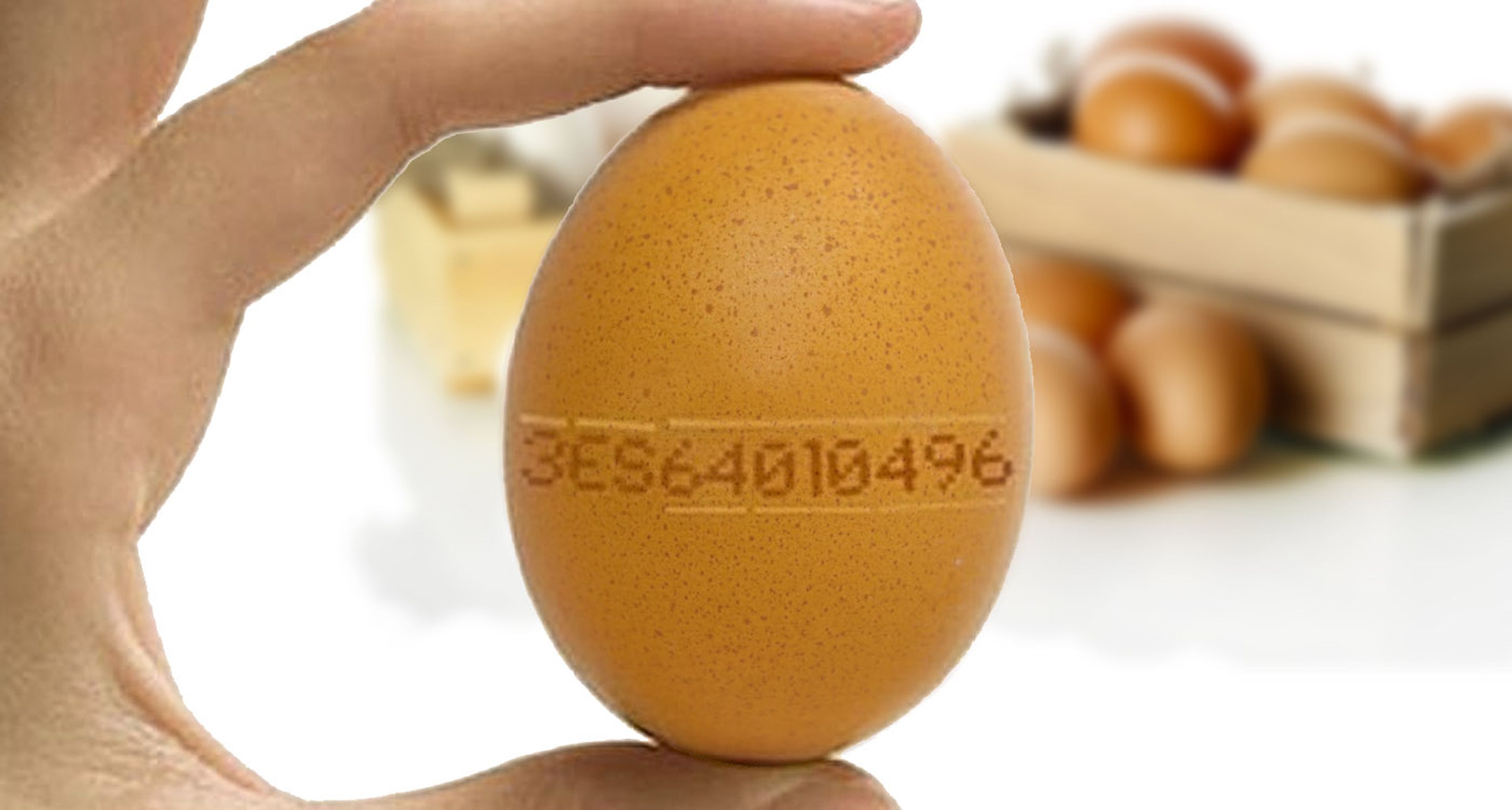Código del huevo