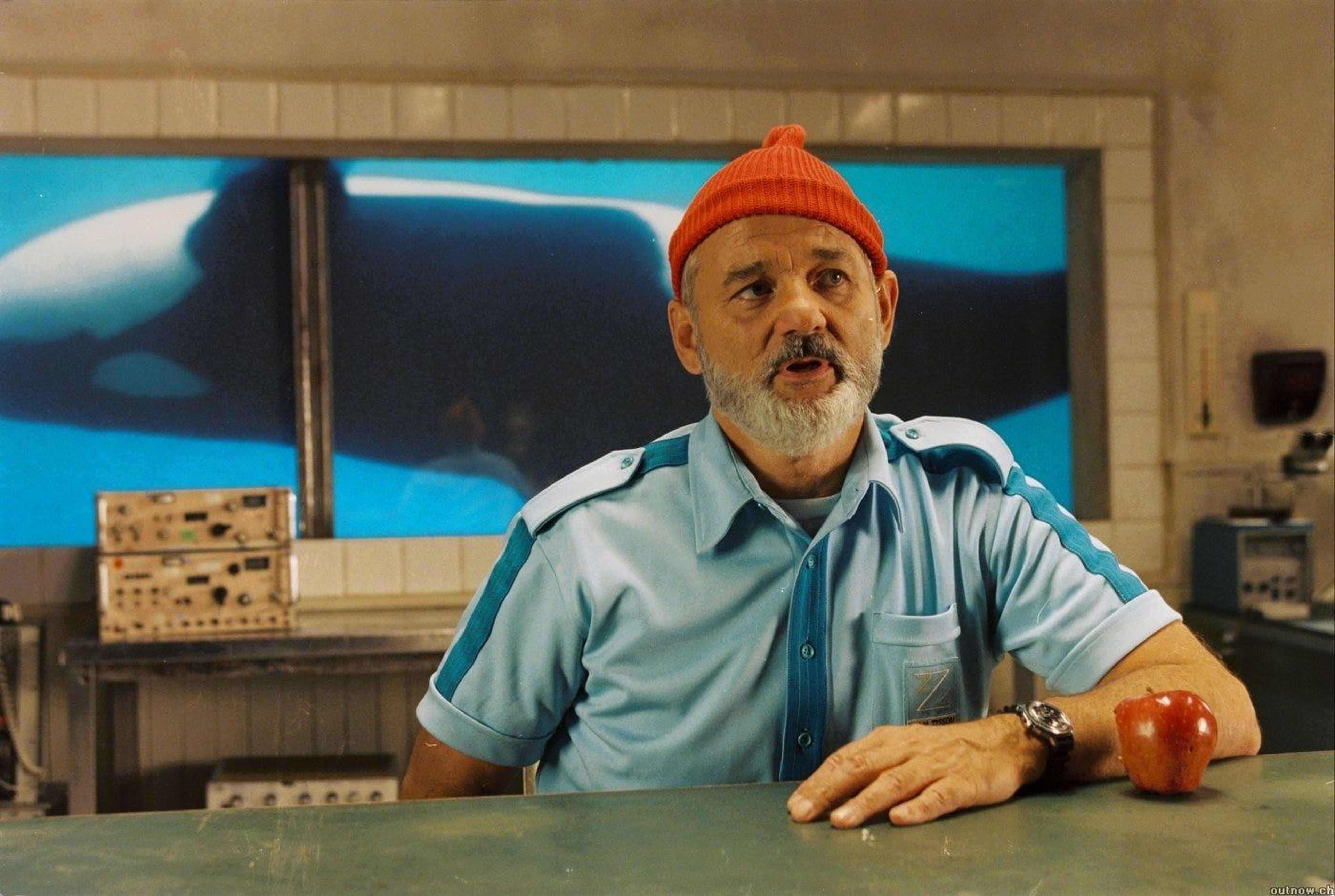 life aquatic with whale