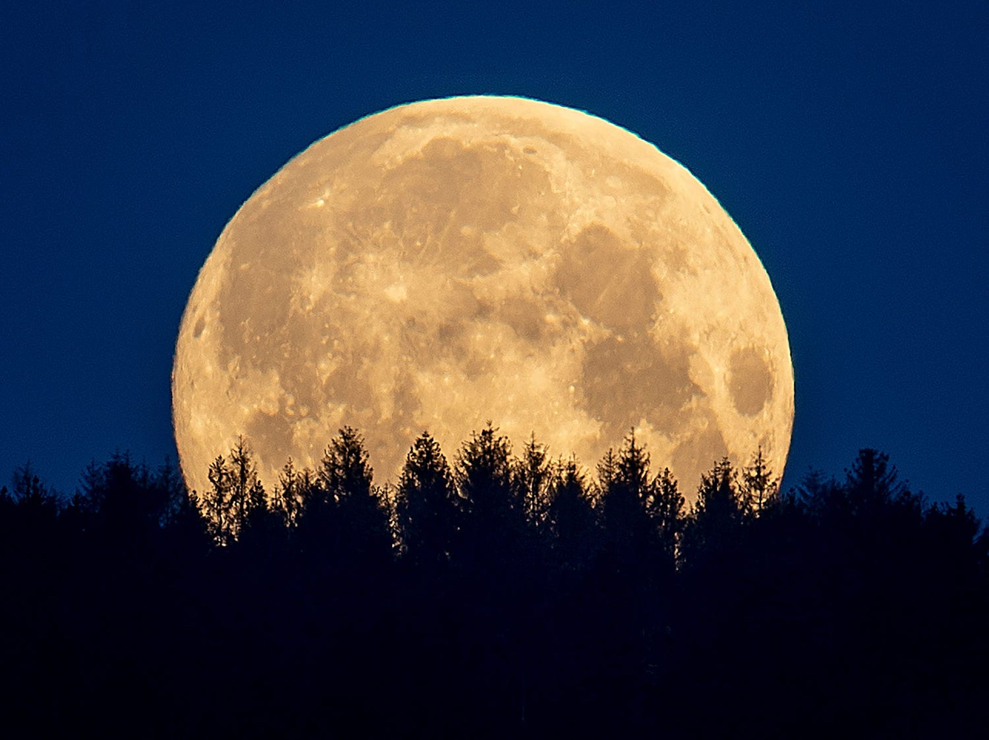 Una rara luna llena de sangre azul iluminará esta noche de Halloween |  Business Insider España