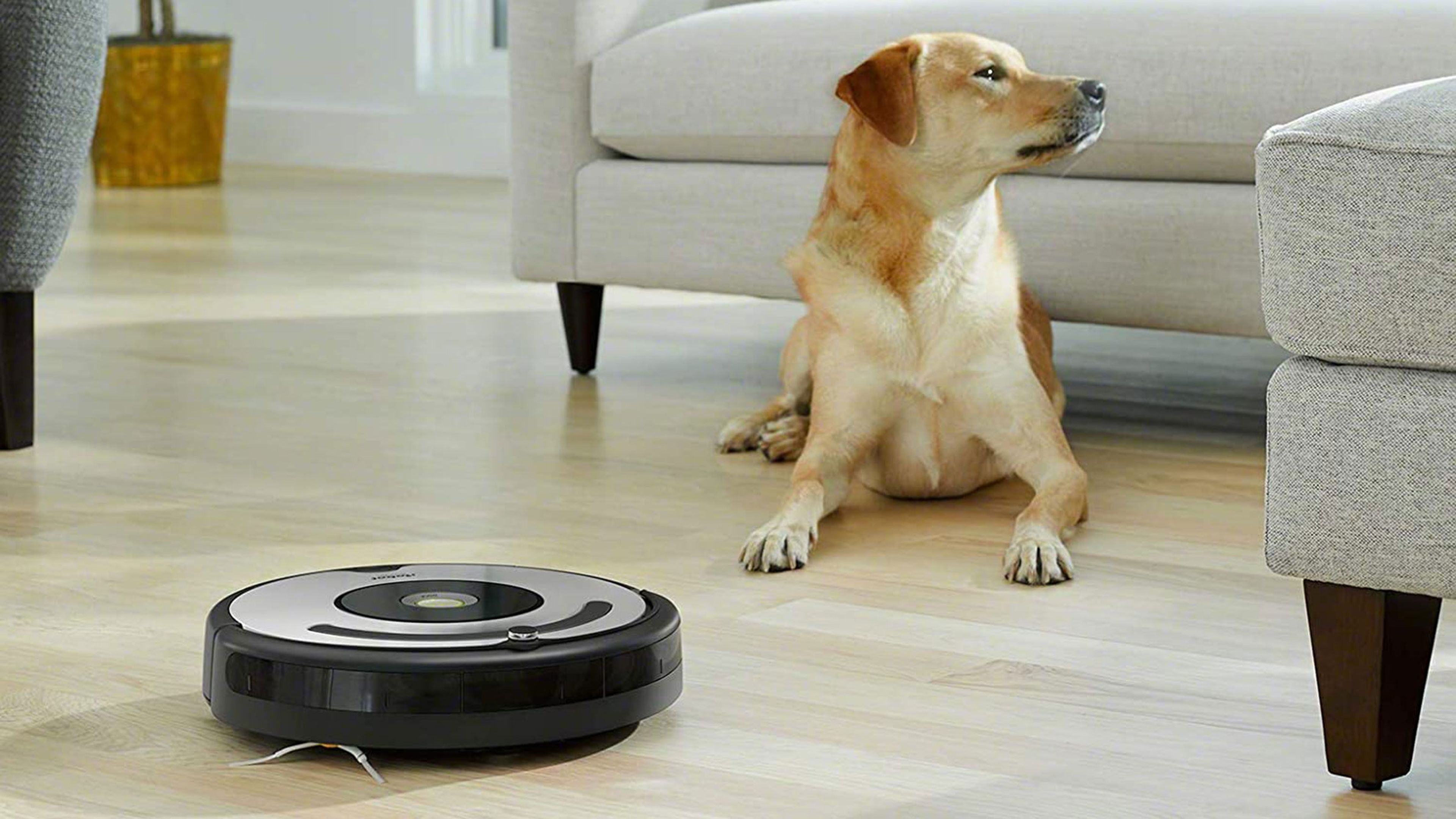 Робот пылесос для квартиры с животными. Roomba Vacuum. IROBOT Roomba 600 Series models. Робот пылесос баннер. Робот пылесос шерсть домашних животных.