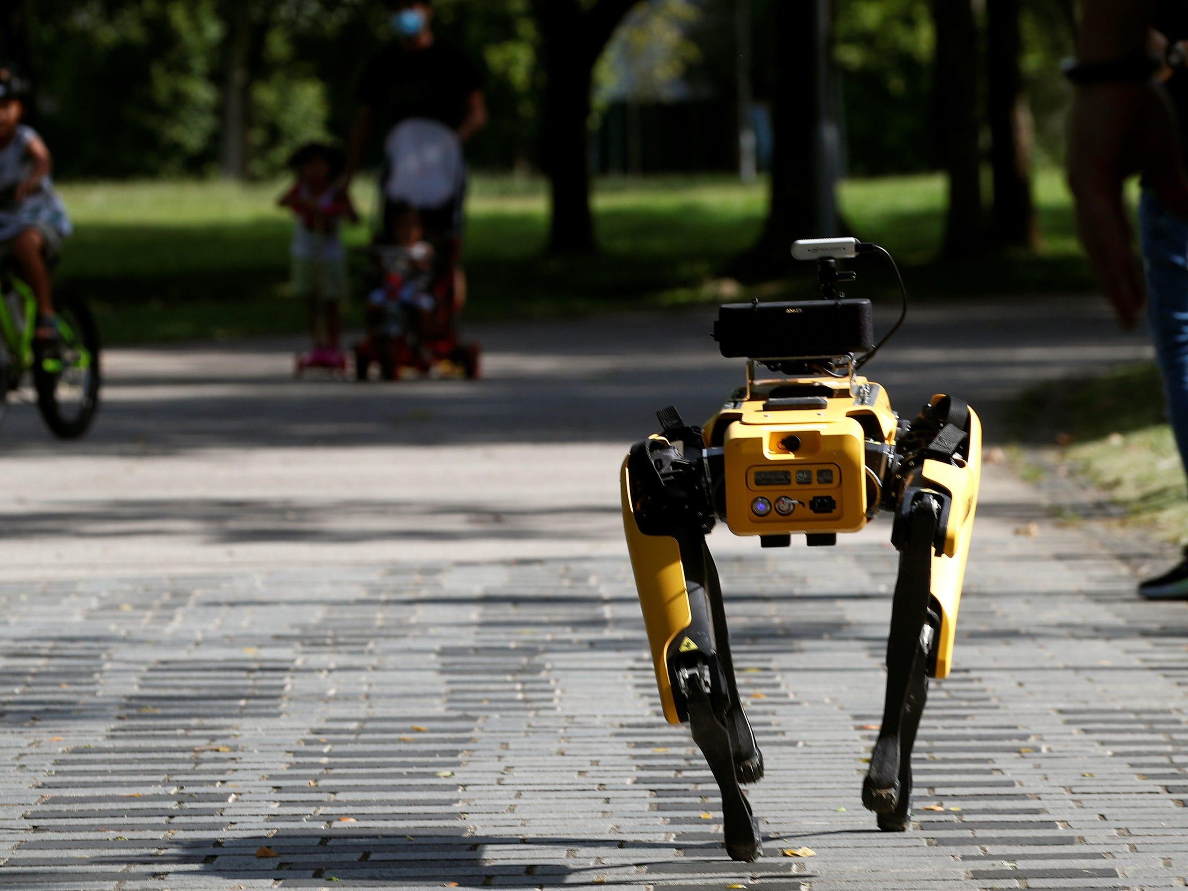 Robot Spot de Boston Dynamics.