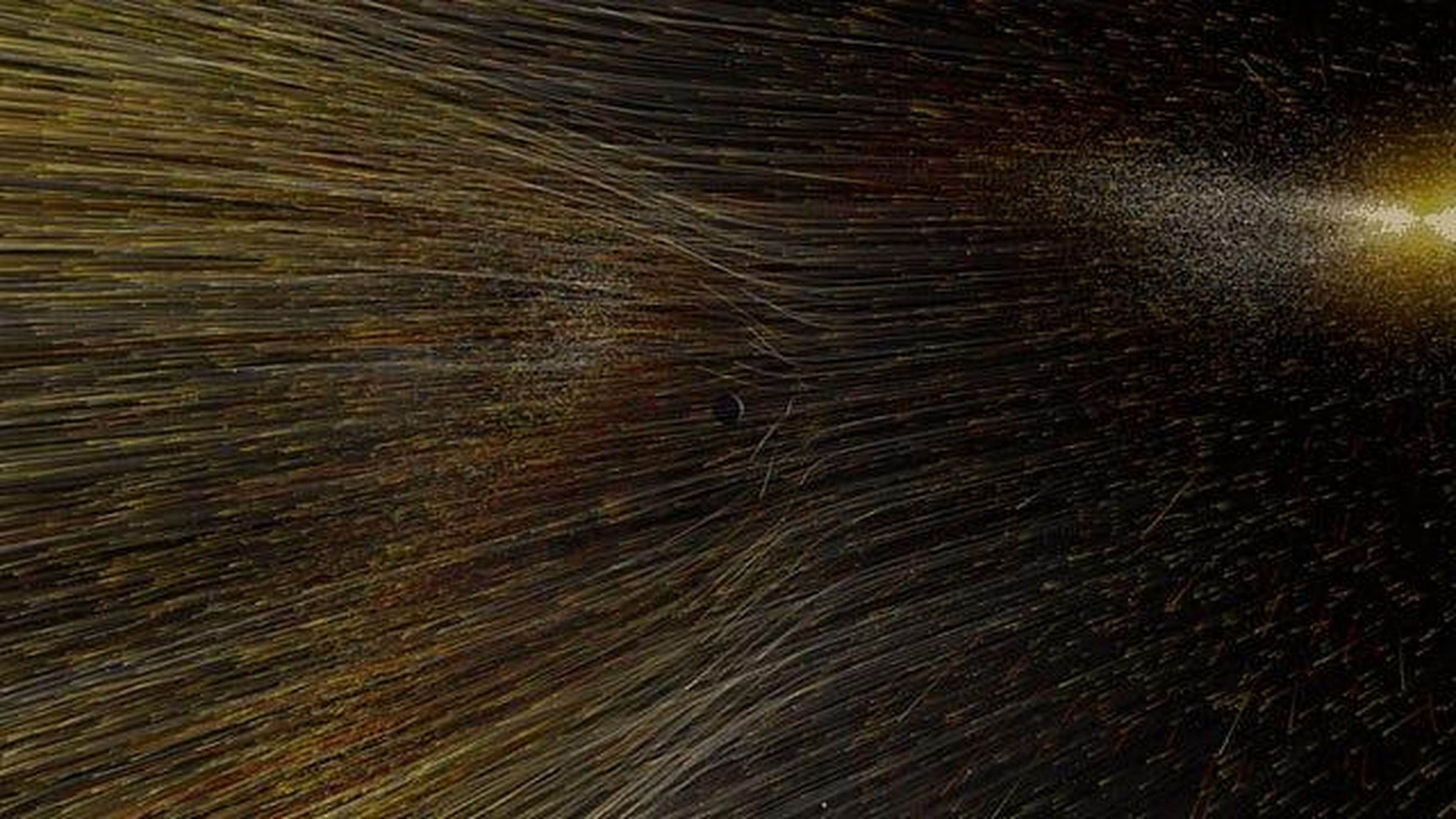 An animation of the solar wind shows particles streaming from the sun towards Earth. NASA