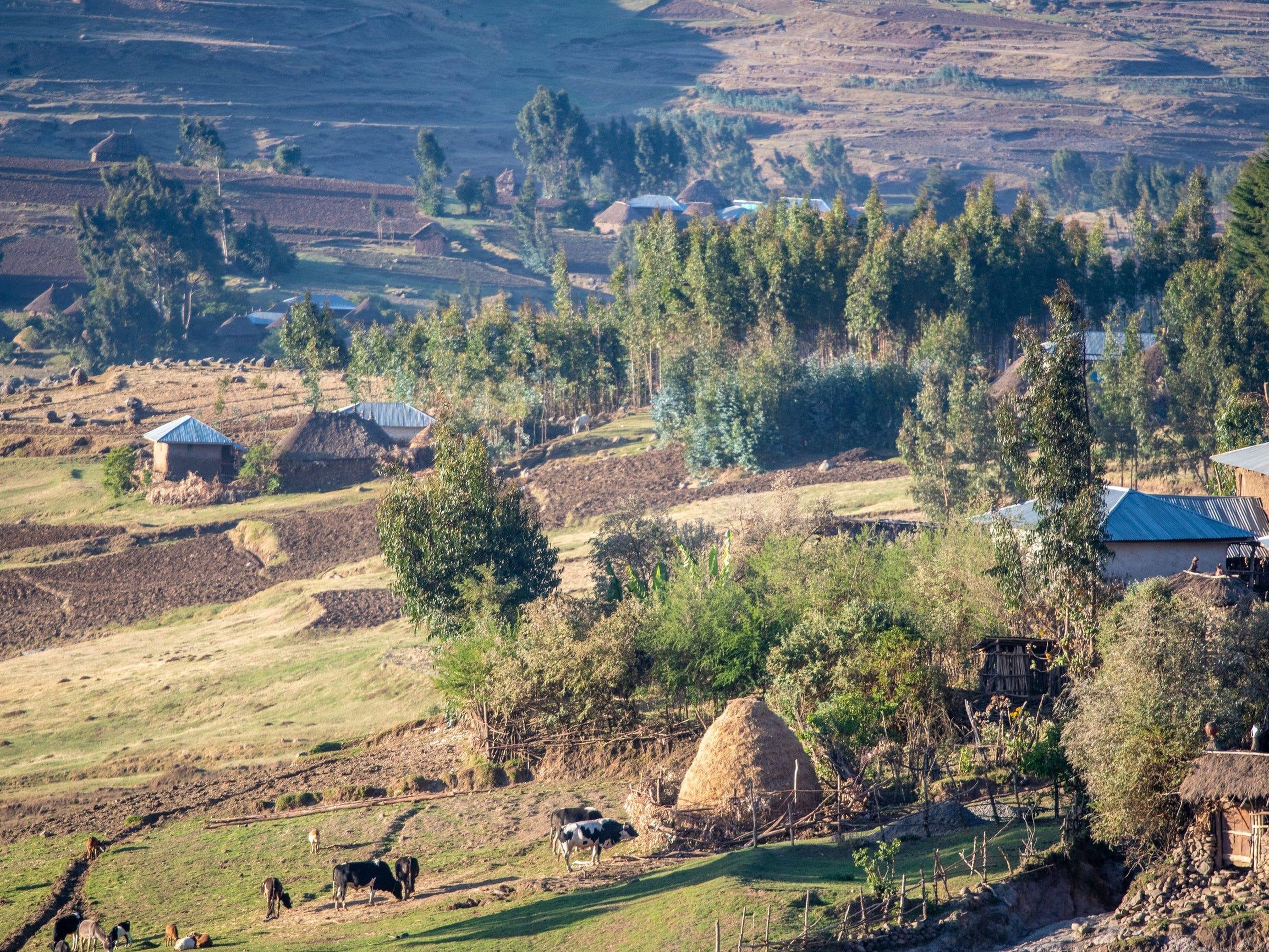 Las comunidades agrícolas rurales, como esta en los valles de Debre Berhan, Etiopía, pueden no tener acceso a un centro de salud local.