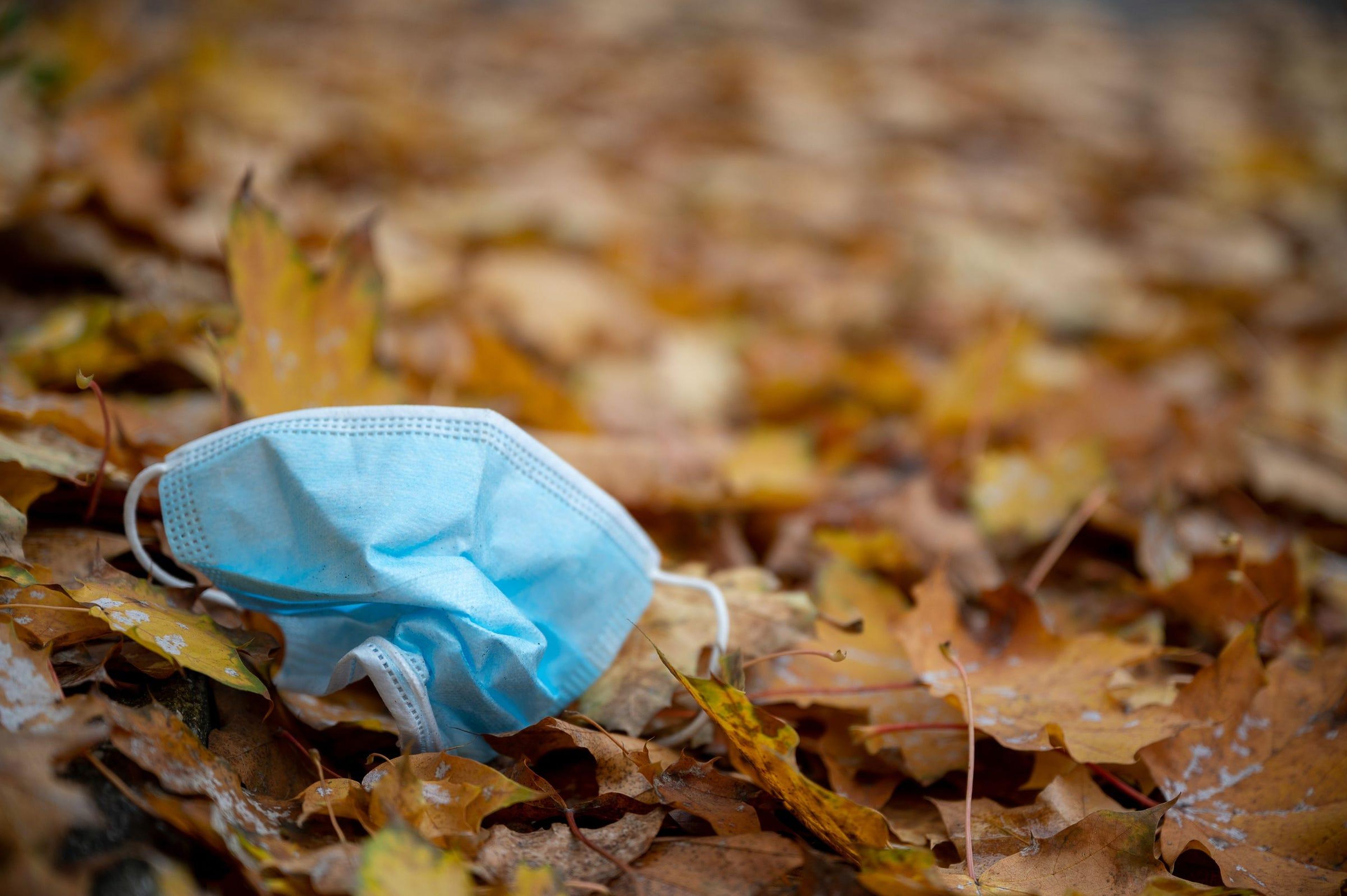 A face mask lies on the roadside in autumn foliage.