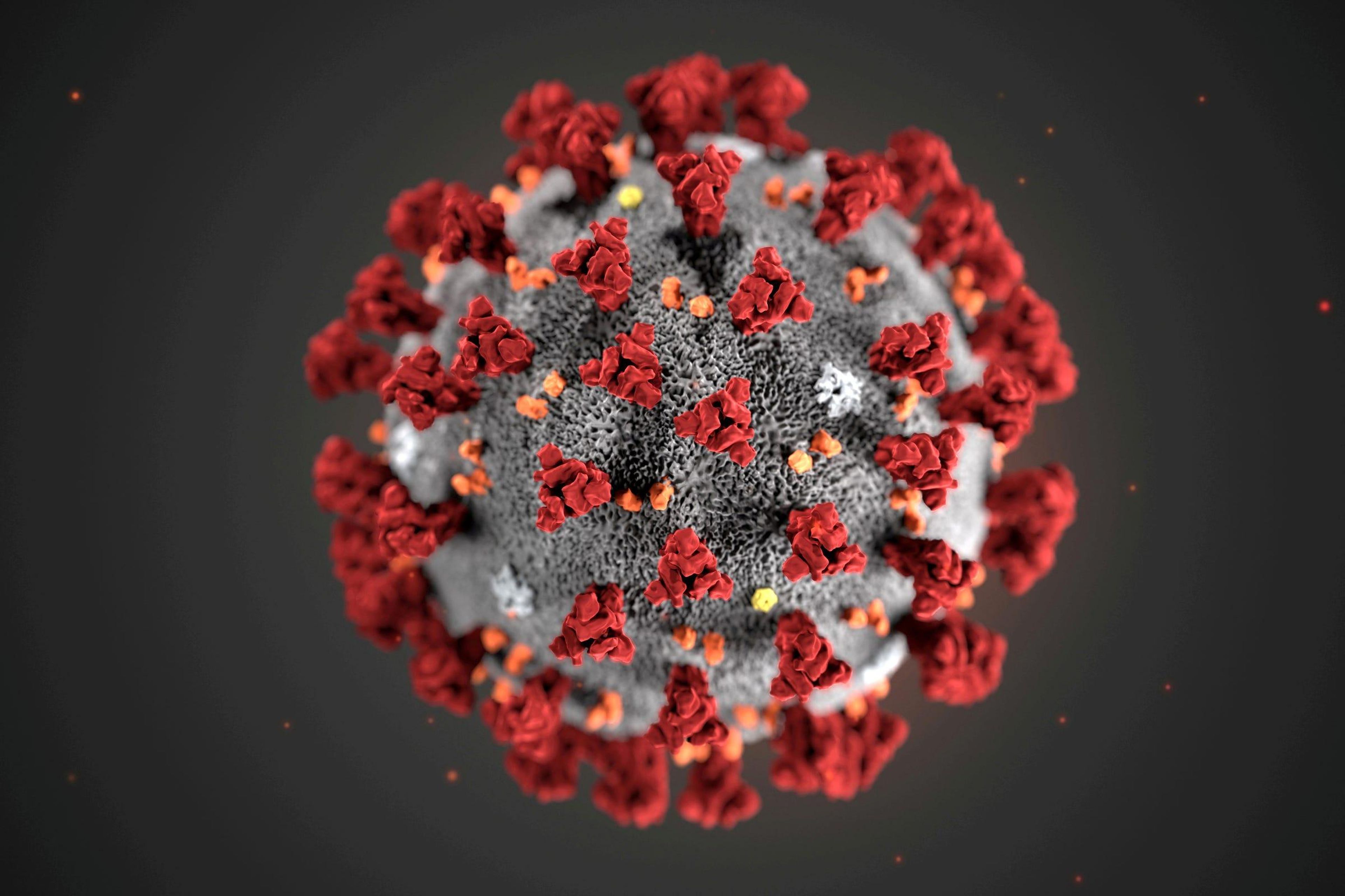 Una ilustración del coronavirus.