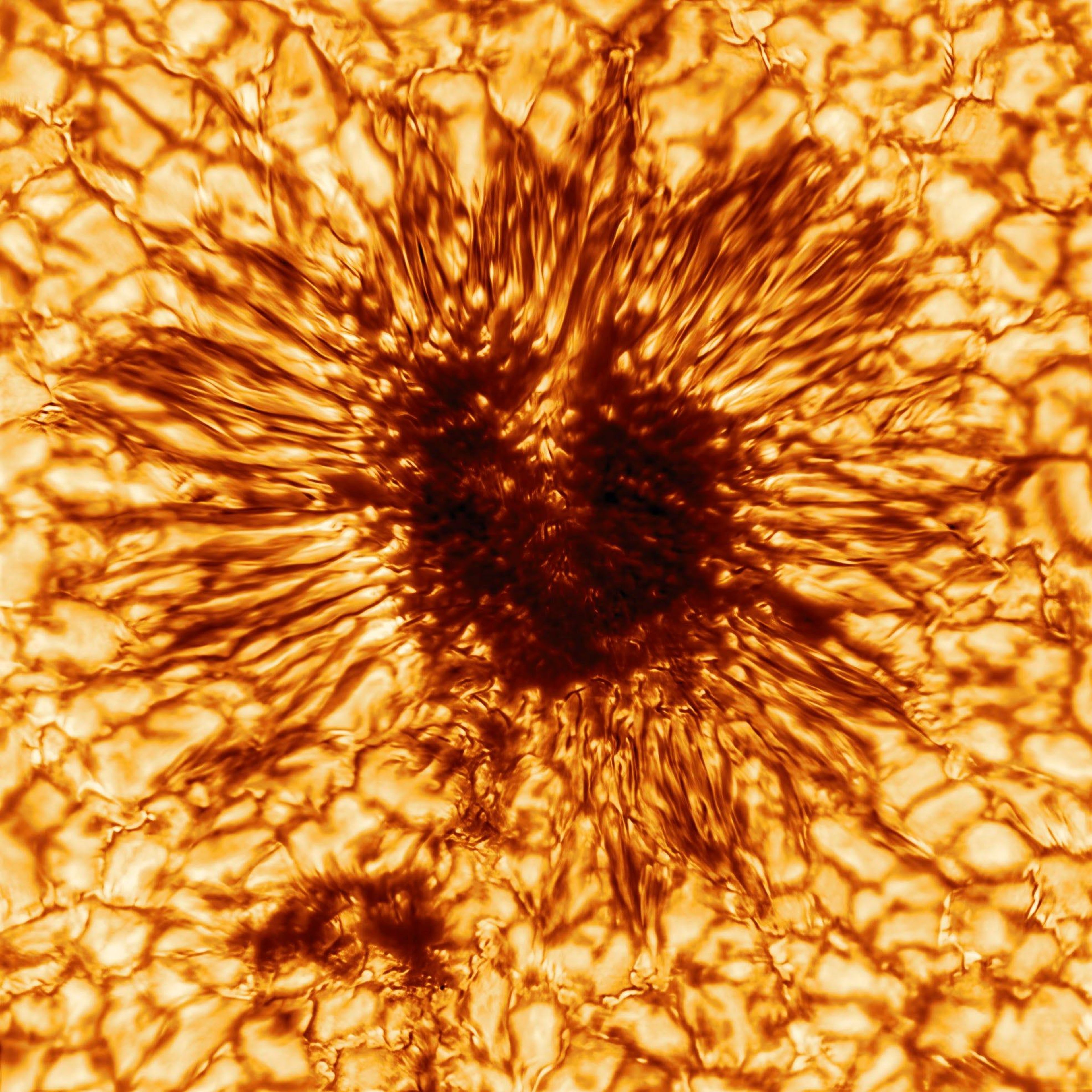 An image of a sunspot taken on January 28, 2020 by the NSF's Inouye Solar Telescope.