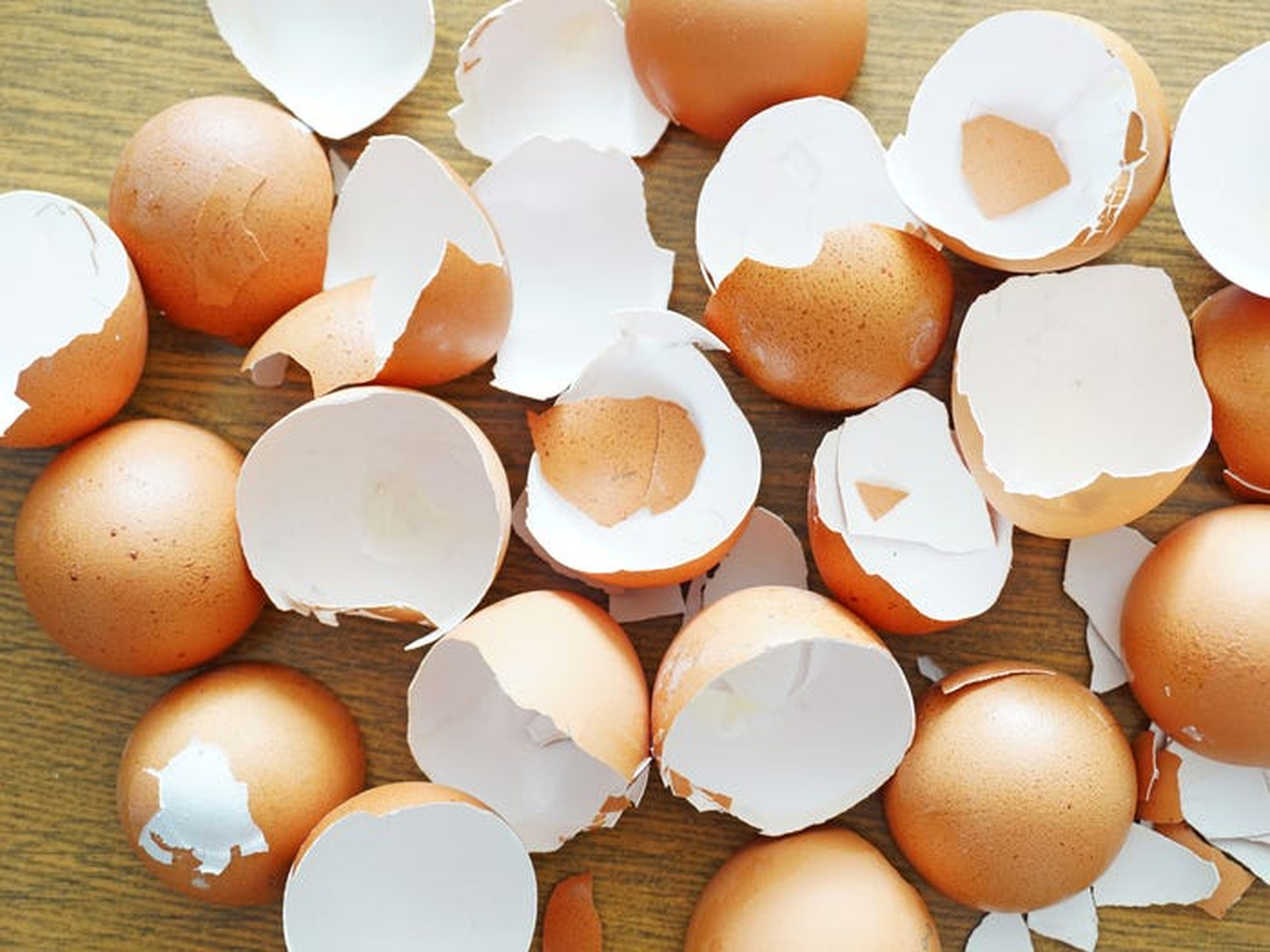 Las cáscaras de huevo se deben convertir en abono o tirarse a la basura orgánica.