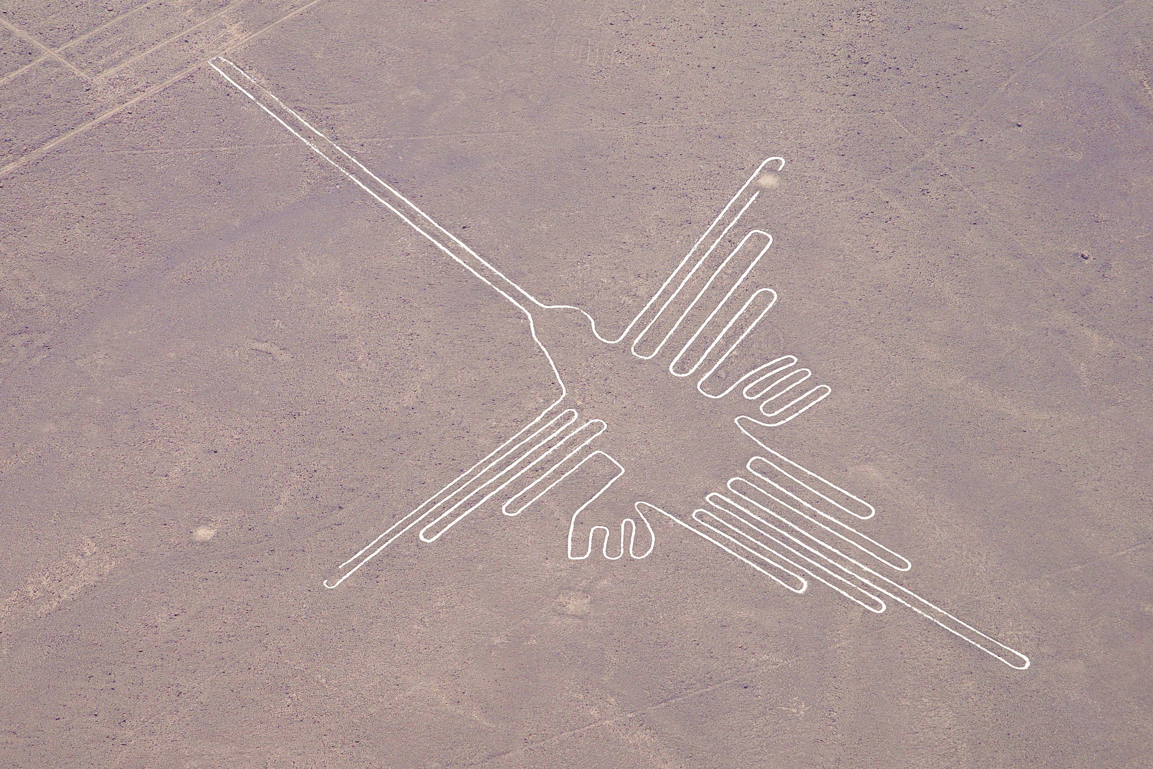 Detalle de un geoglifo de las Líneas de Nazca (Perú).