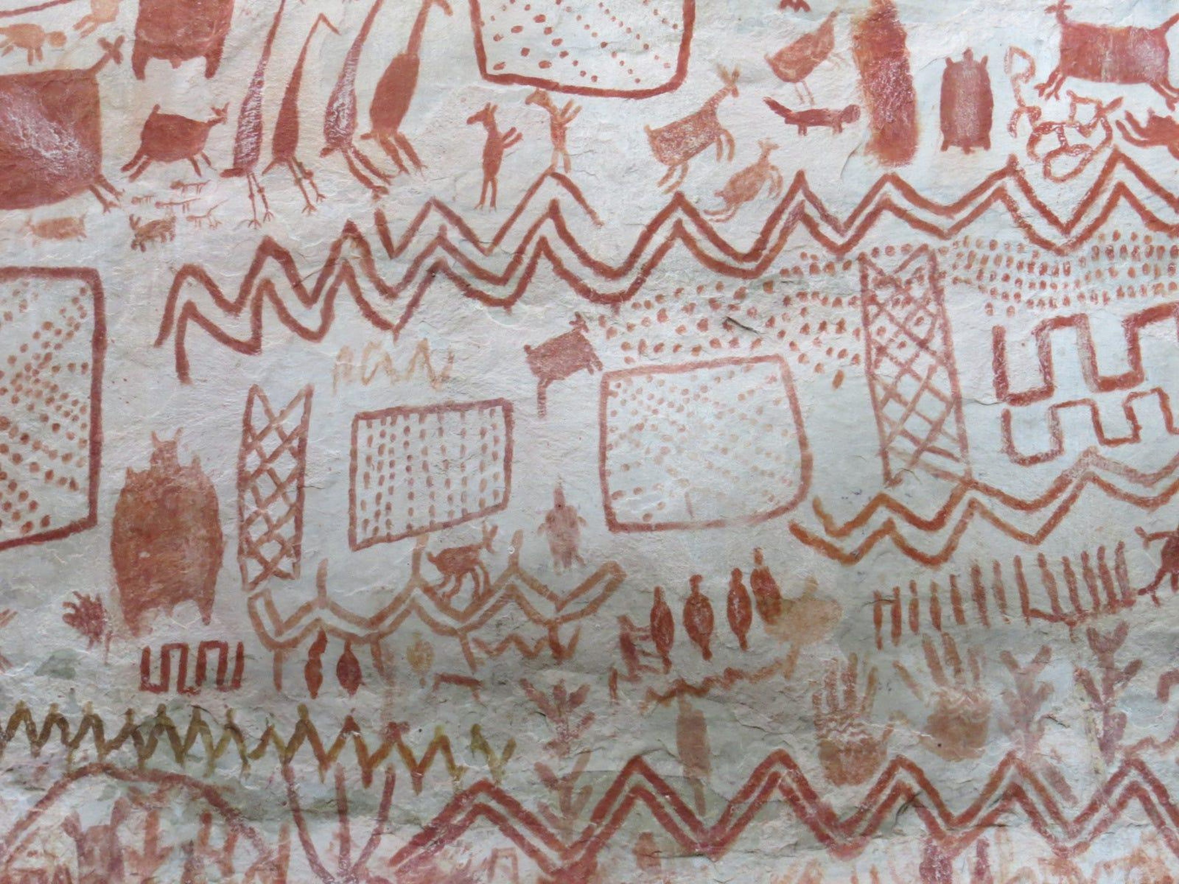 Dibujos antiguos de animales, humanos y formas geométricas decoran 3 refugios rocosos recientemente descubiertos en la Amazonía colombiana.