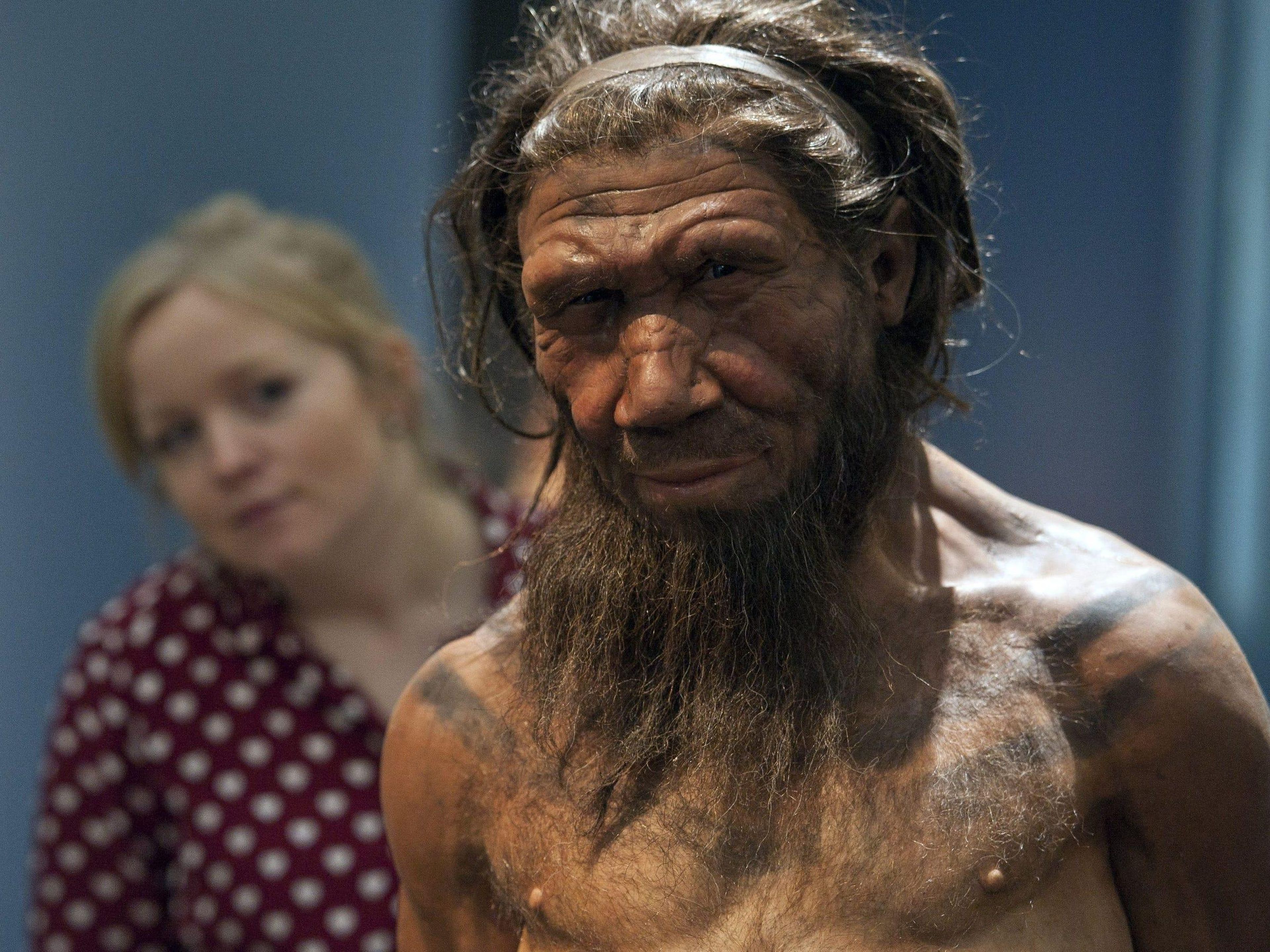 Una empleada del Museo de Historia Natural de Londres observa el ejemplo de un neandertal de unos veinte años que se exhibió en septiembre de 2014.