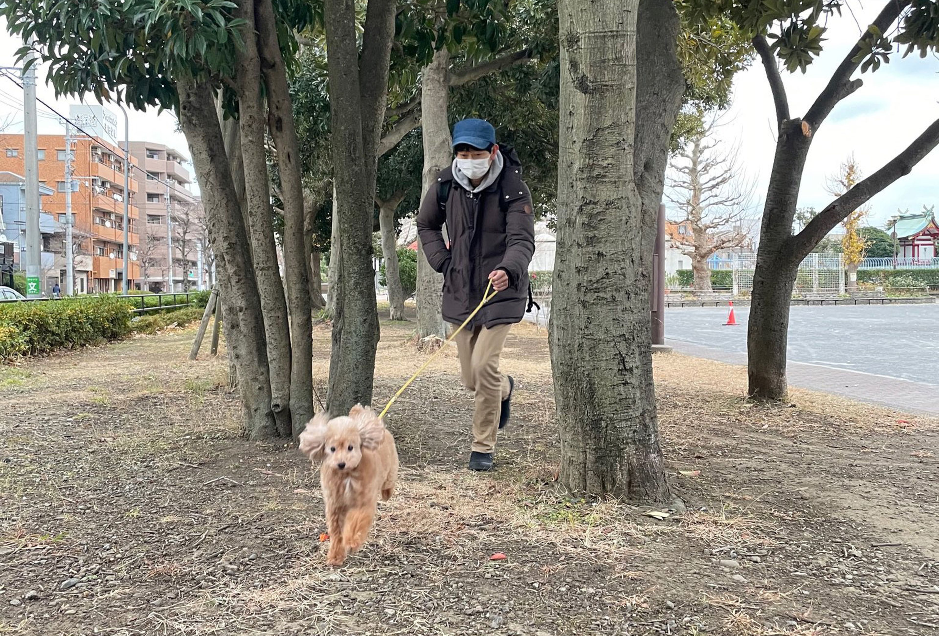 Shoji Morimoto paseando un perro