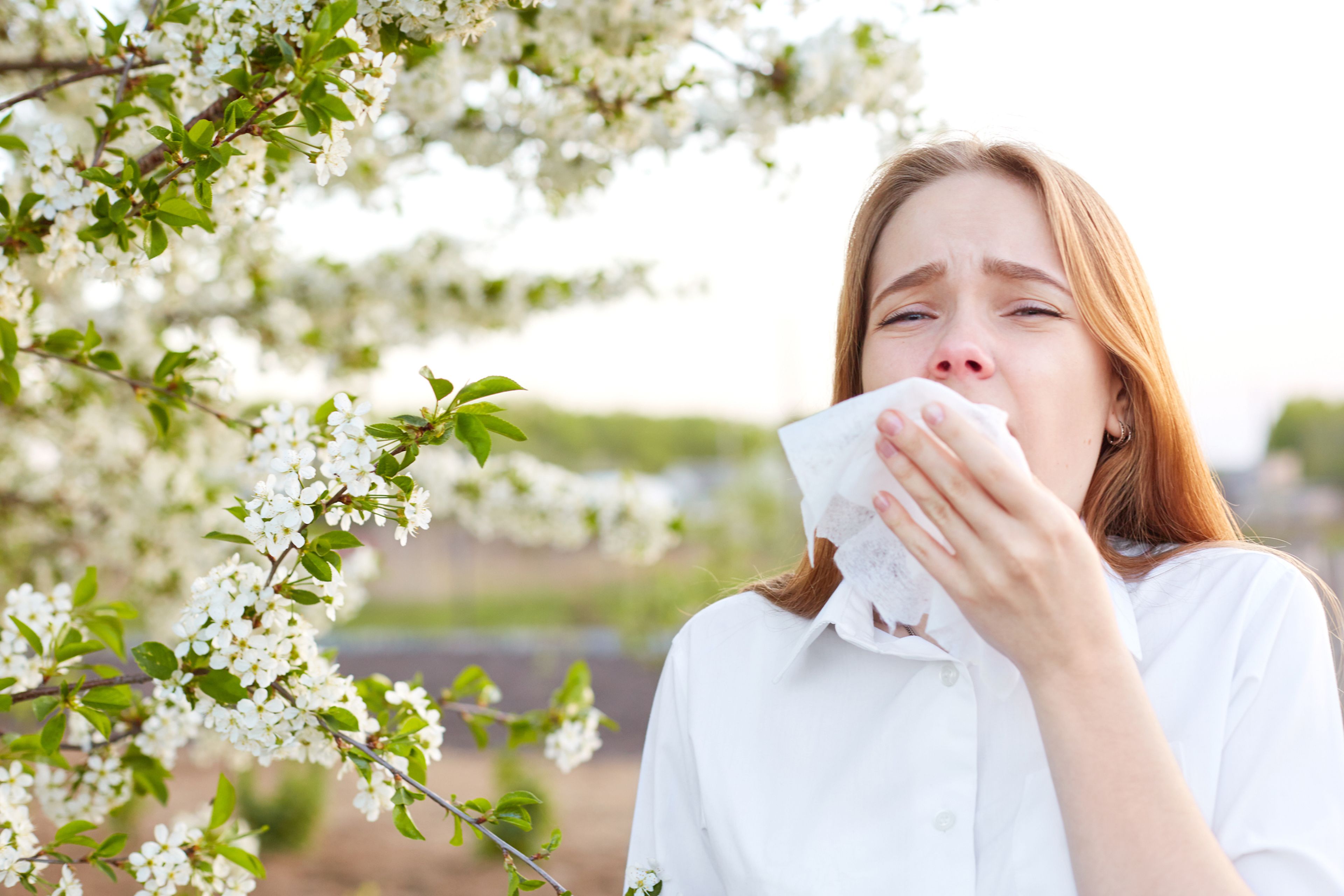 alergia primavera polen