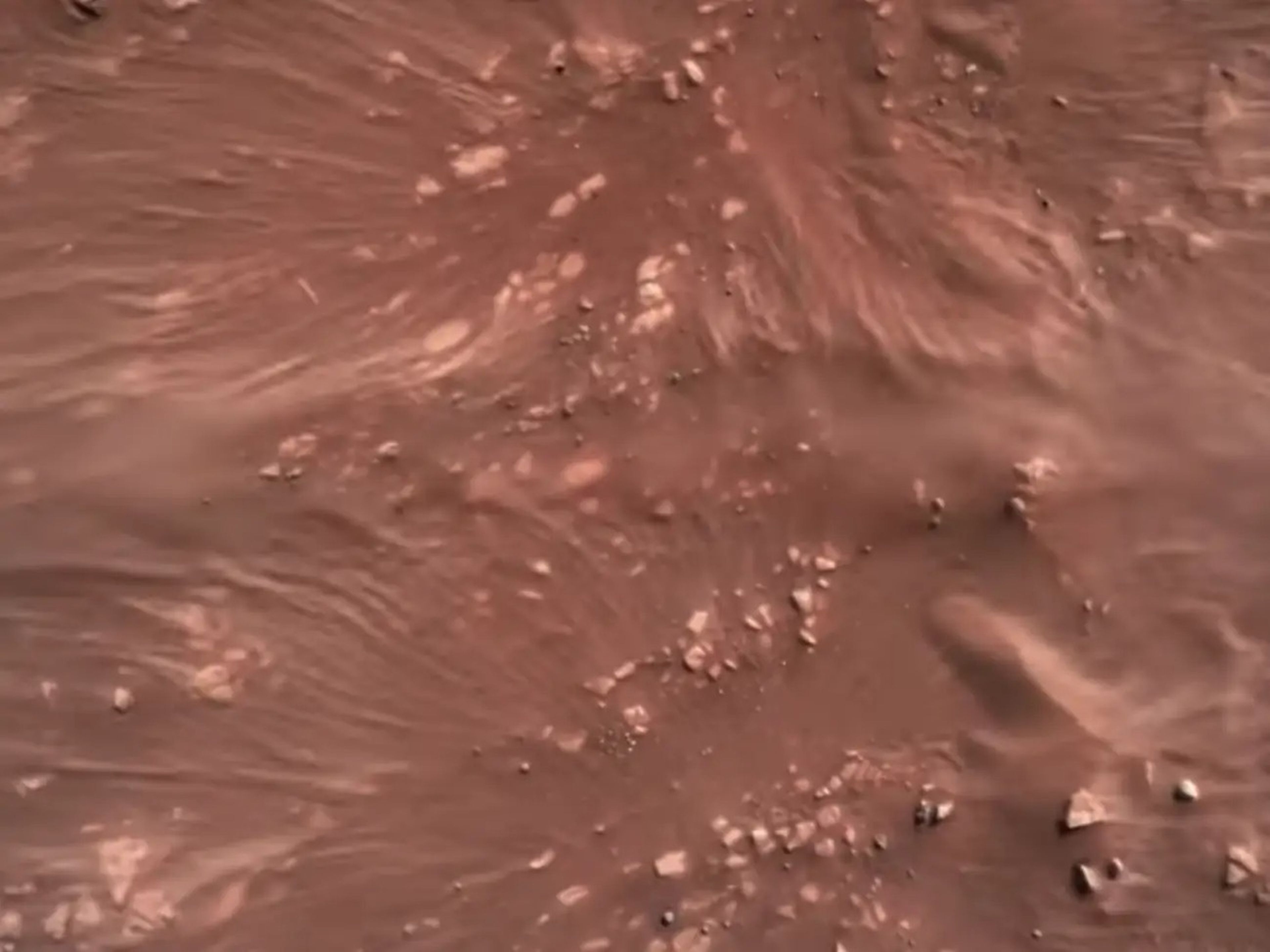 Una captura de pantalla del vídeo de la cámara de descenso del rover muestra polvo arremolinándose debajo, cuando el rover está a punto de aterrizar.