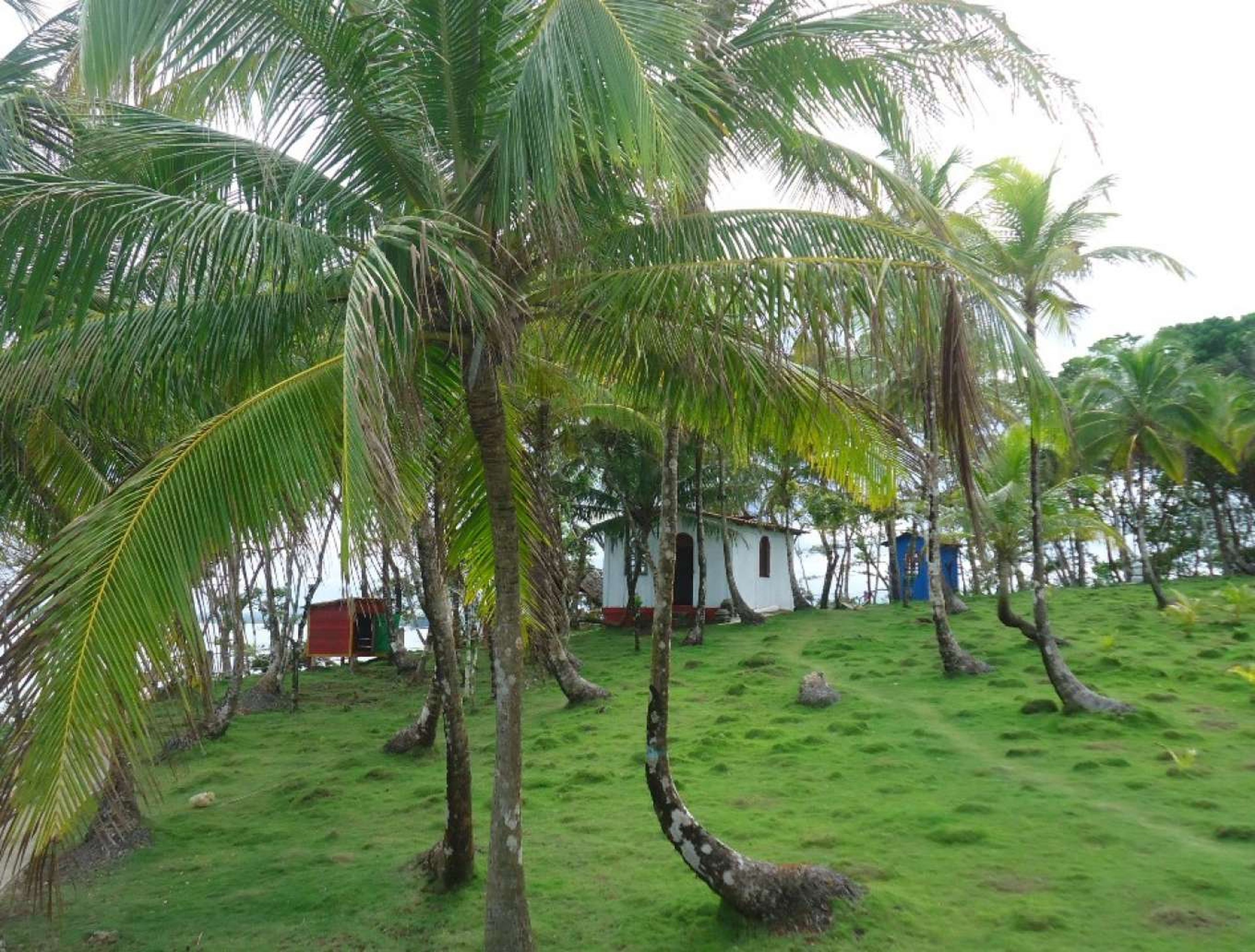 Bocal Island