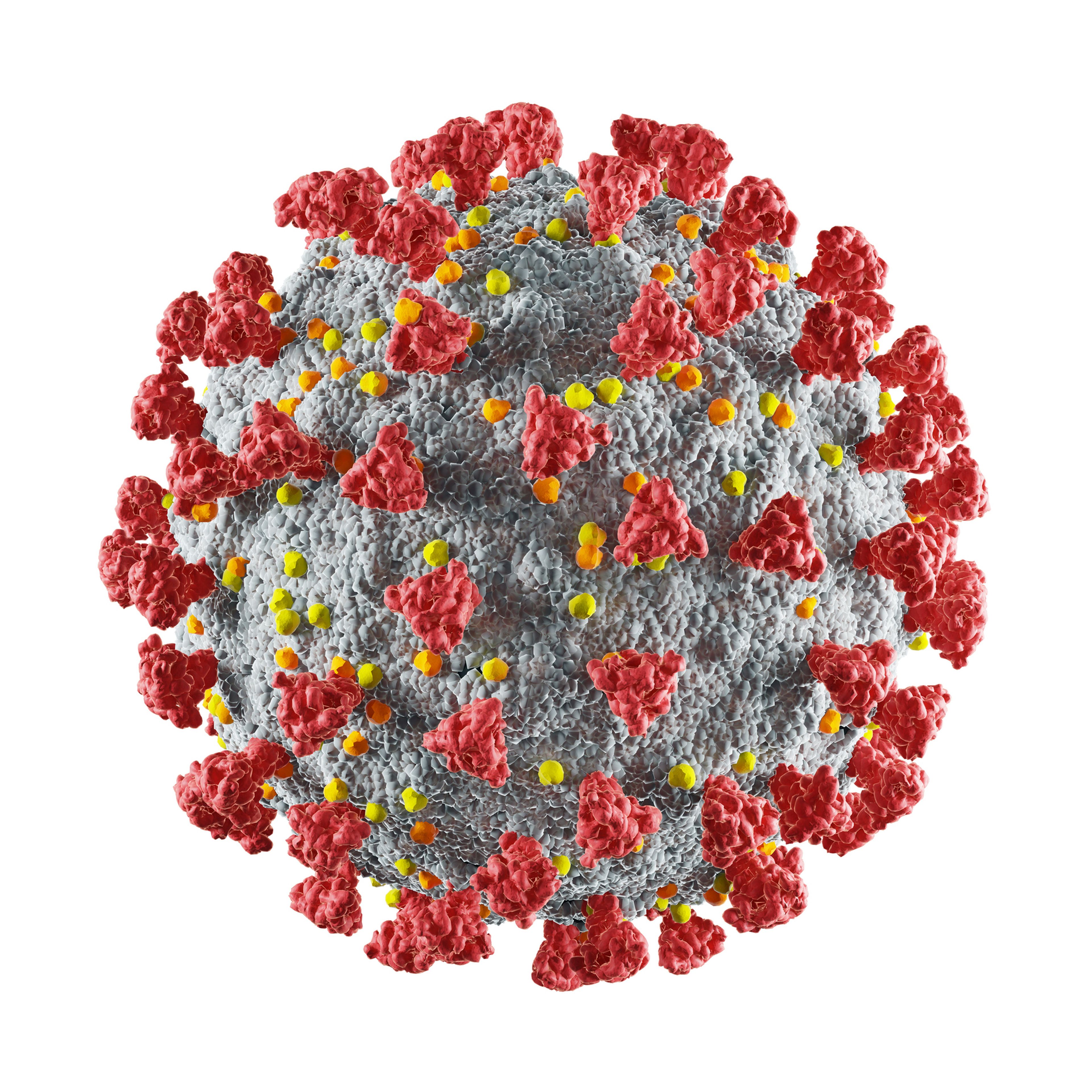 Boceto de un coronavirus