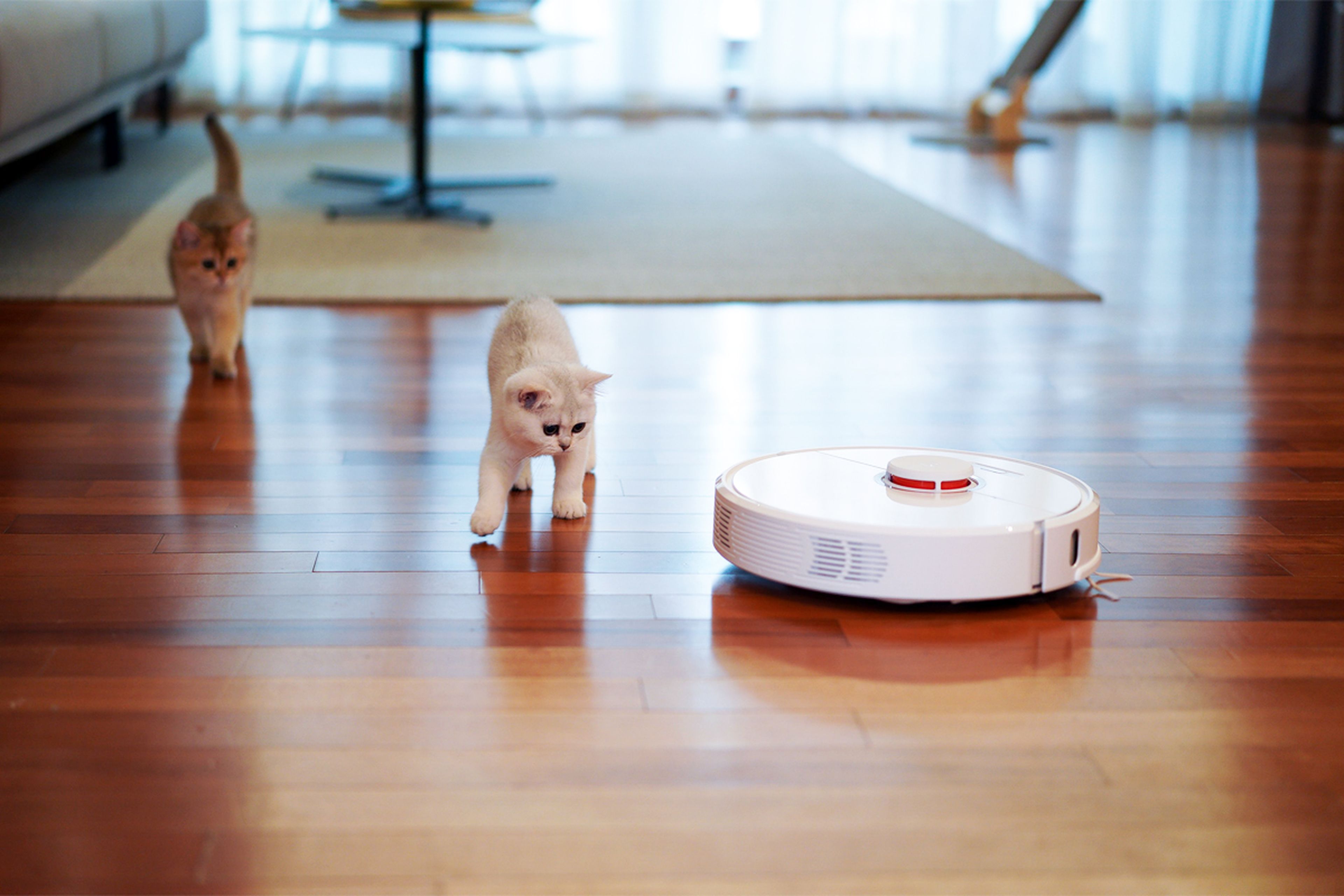 Robot aspirador para mascotas