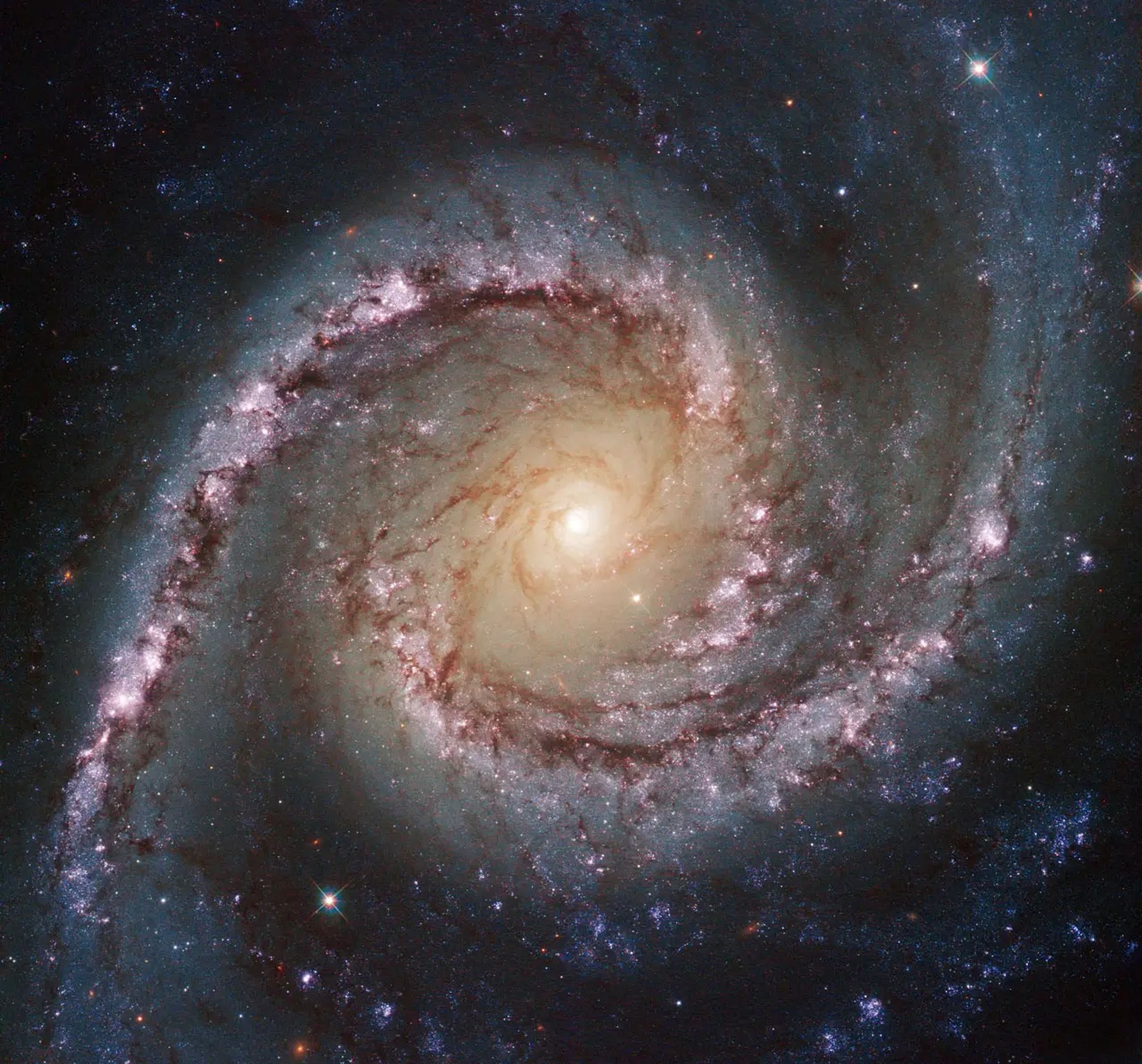 La galaxia espiral NGC 1566, fotografiada por el telescopio Hubble de la NASA.