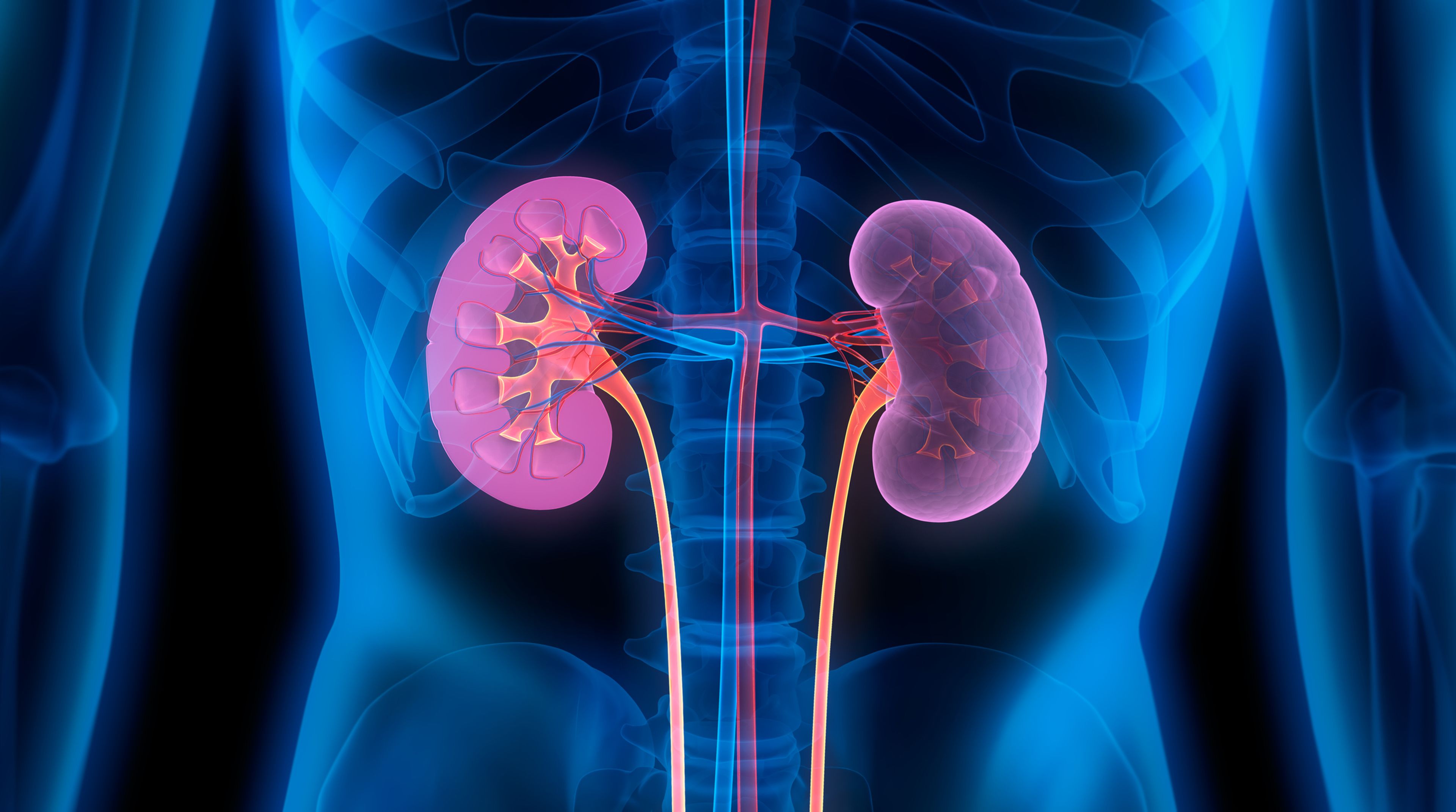 ¿Cómo saber si tienes problemas de riñón? Síntomas y consecuencias de la insuficiencia renal