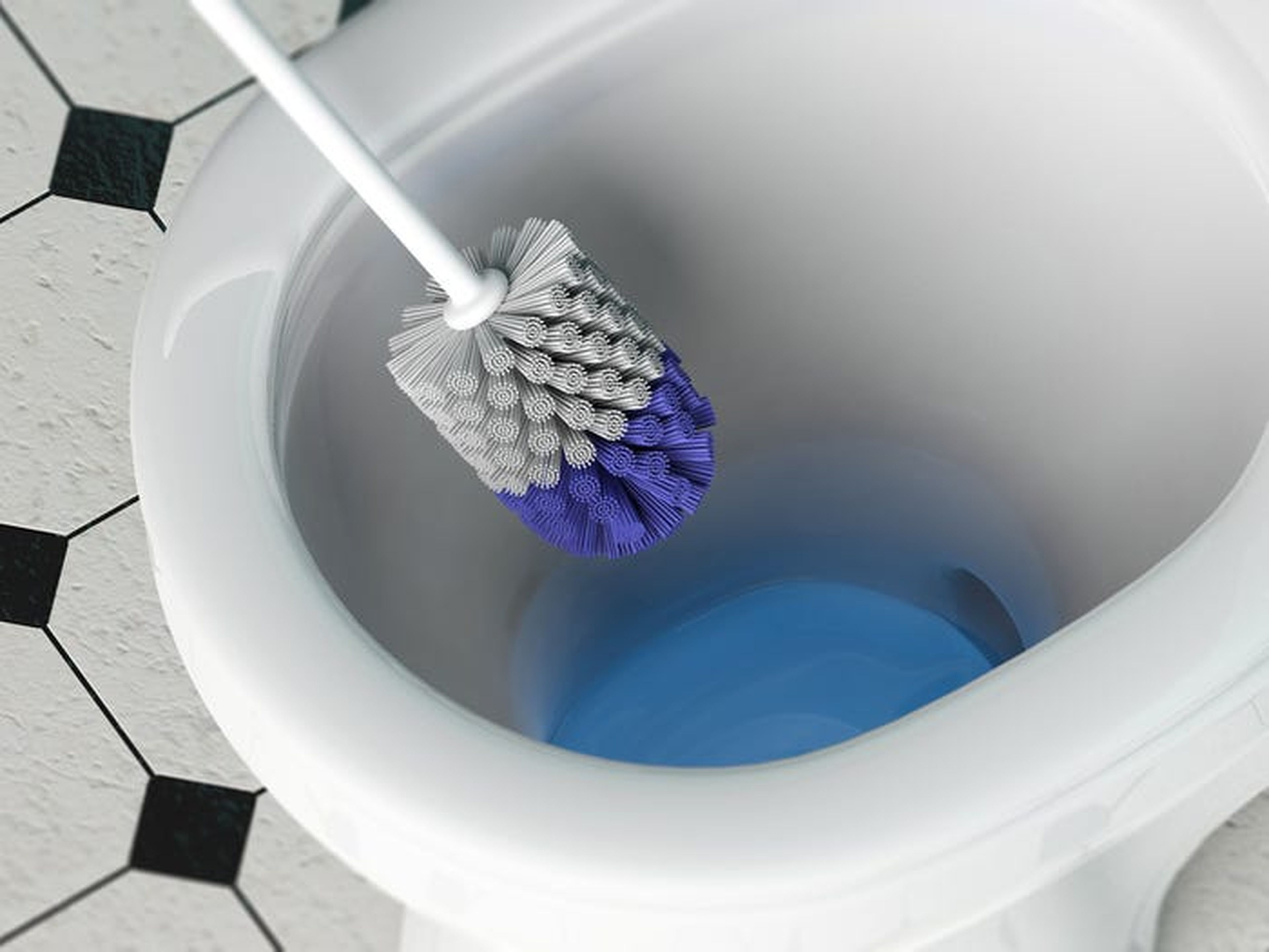 Desinfecta los cepillos del inodoro después de cada uso.