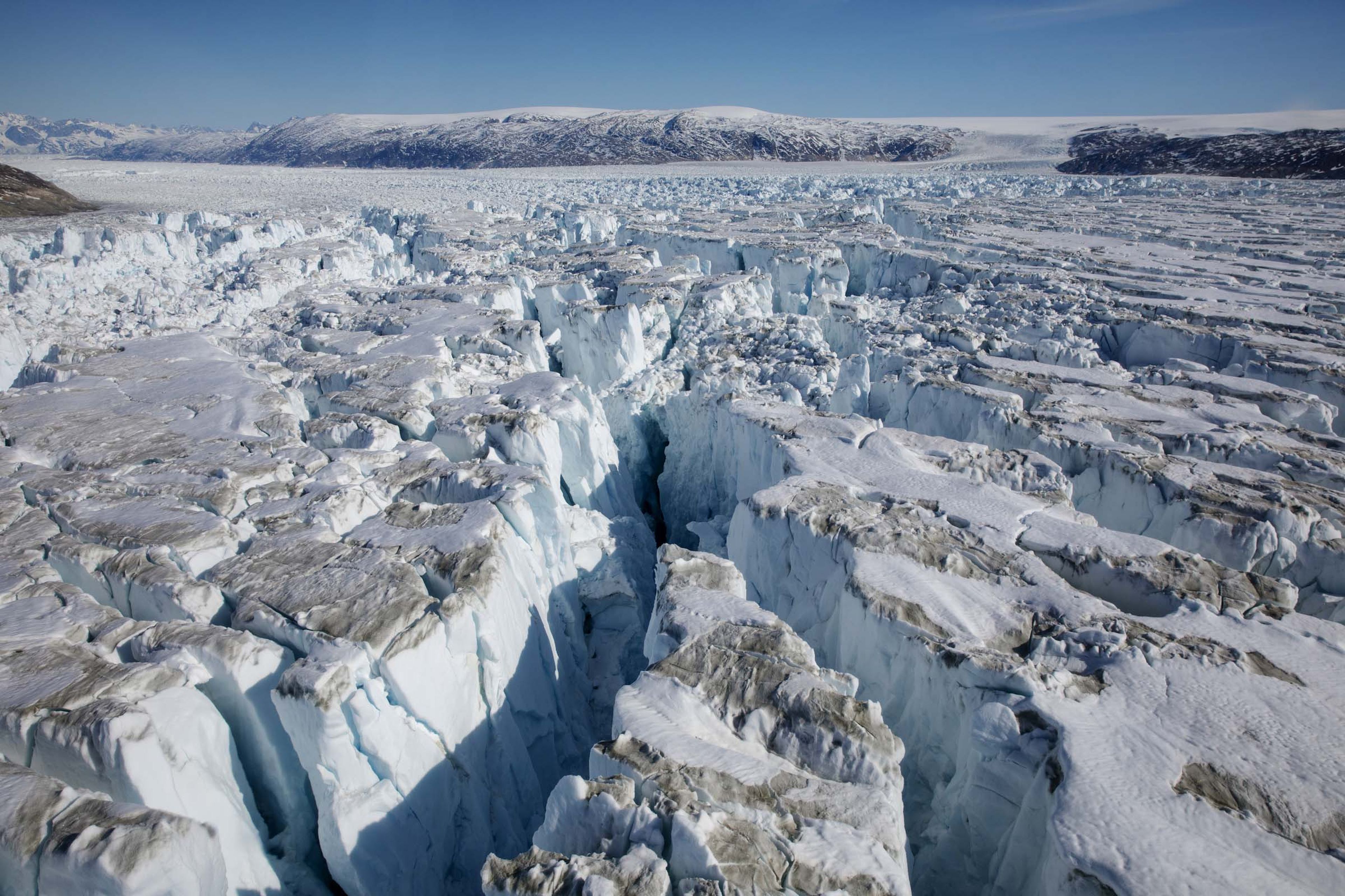 Encuentran plantas fosilizadas a 450 metros bajo la capa de hielo de Groenlandia, gracias a un proyecto secreto de la Guerra Fría