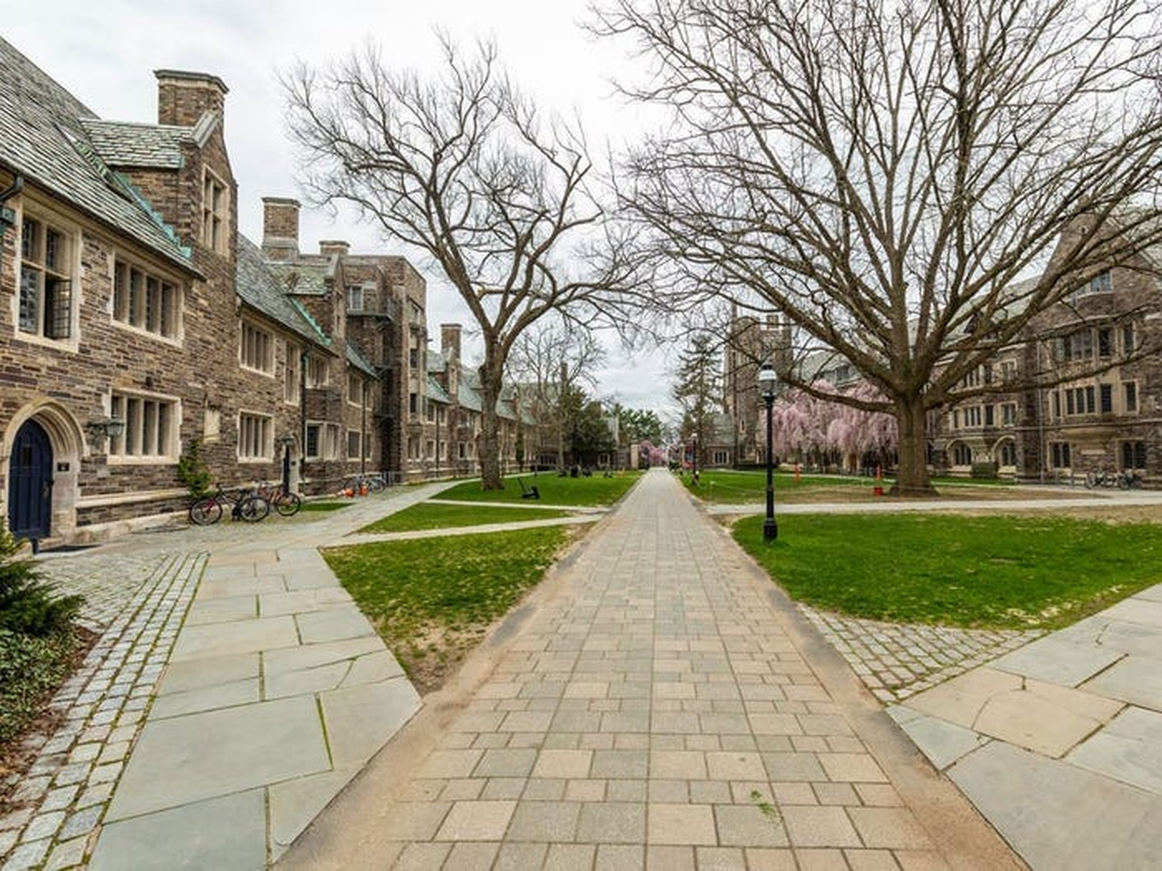 Princeton.