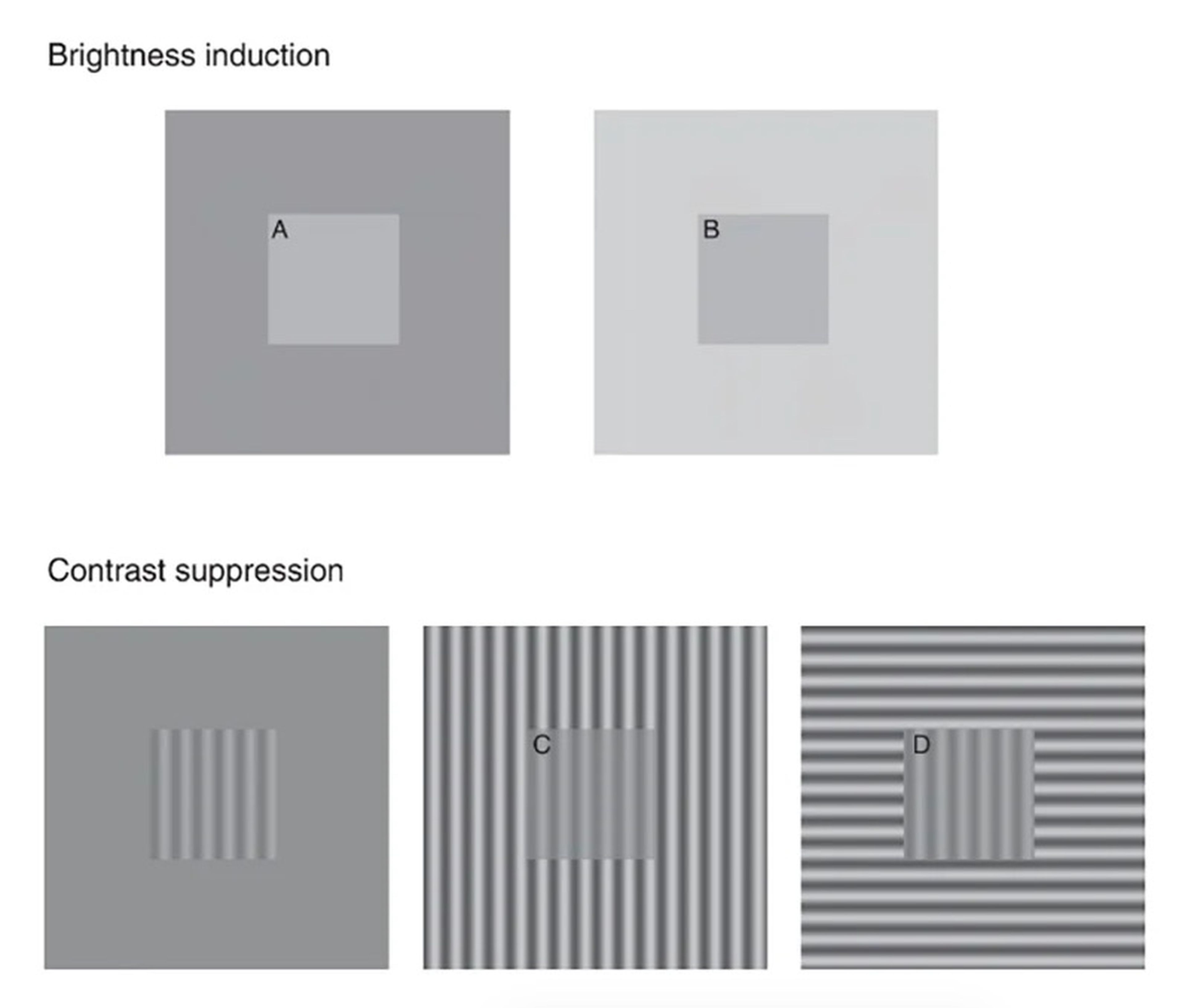 La prueba óptica utilizada en el estudio: los parches A y B y los parches C y D son los mismos.