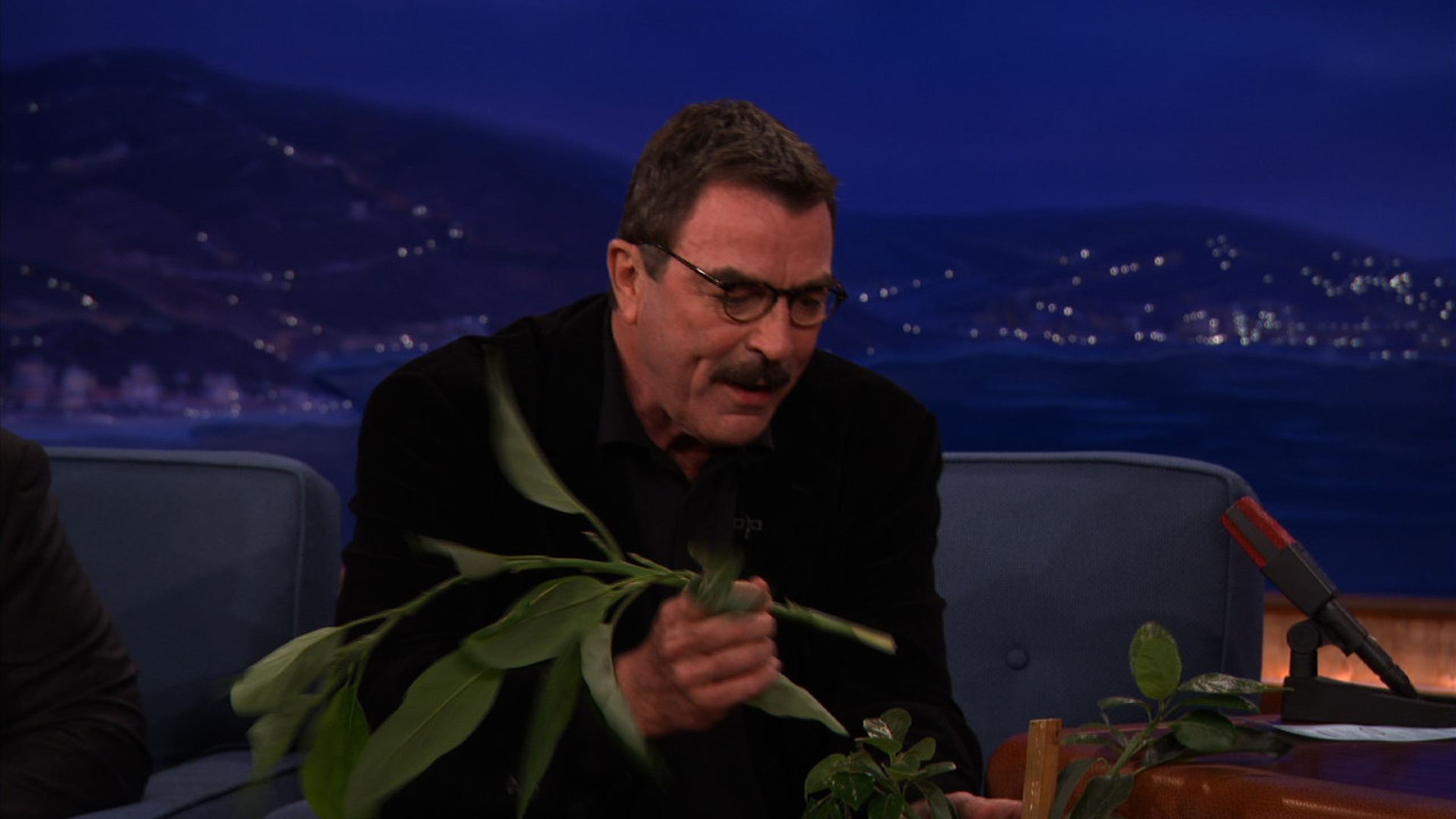 Tom Selleck Aguacates