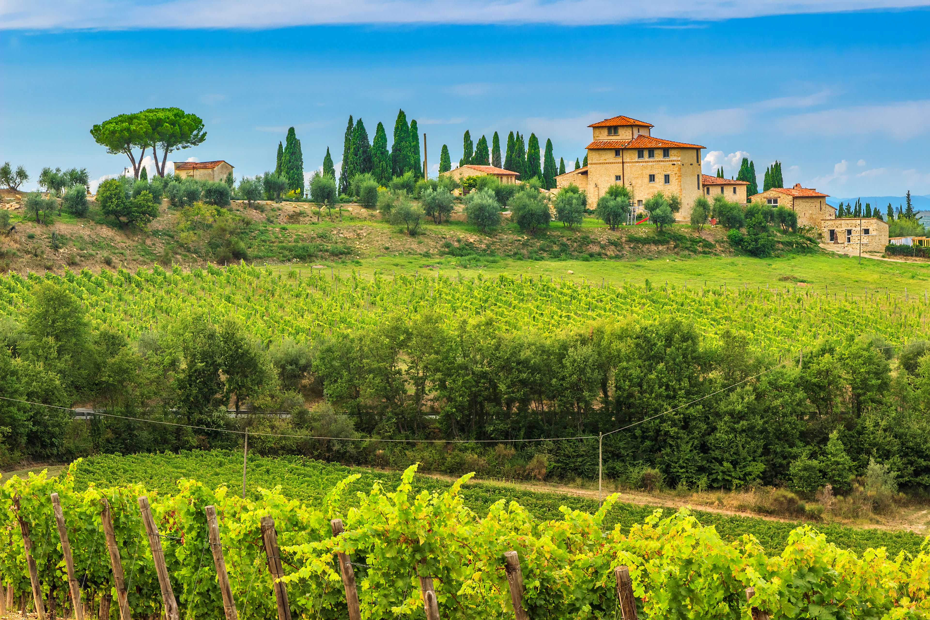 Imagen de los viñeros de Chianti en la Toscana.