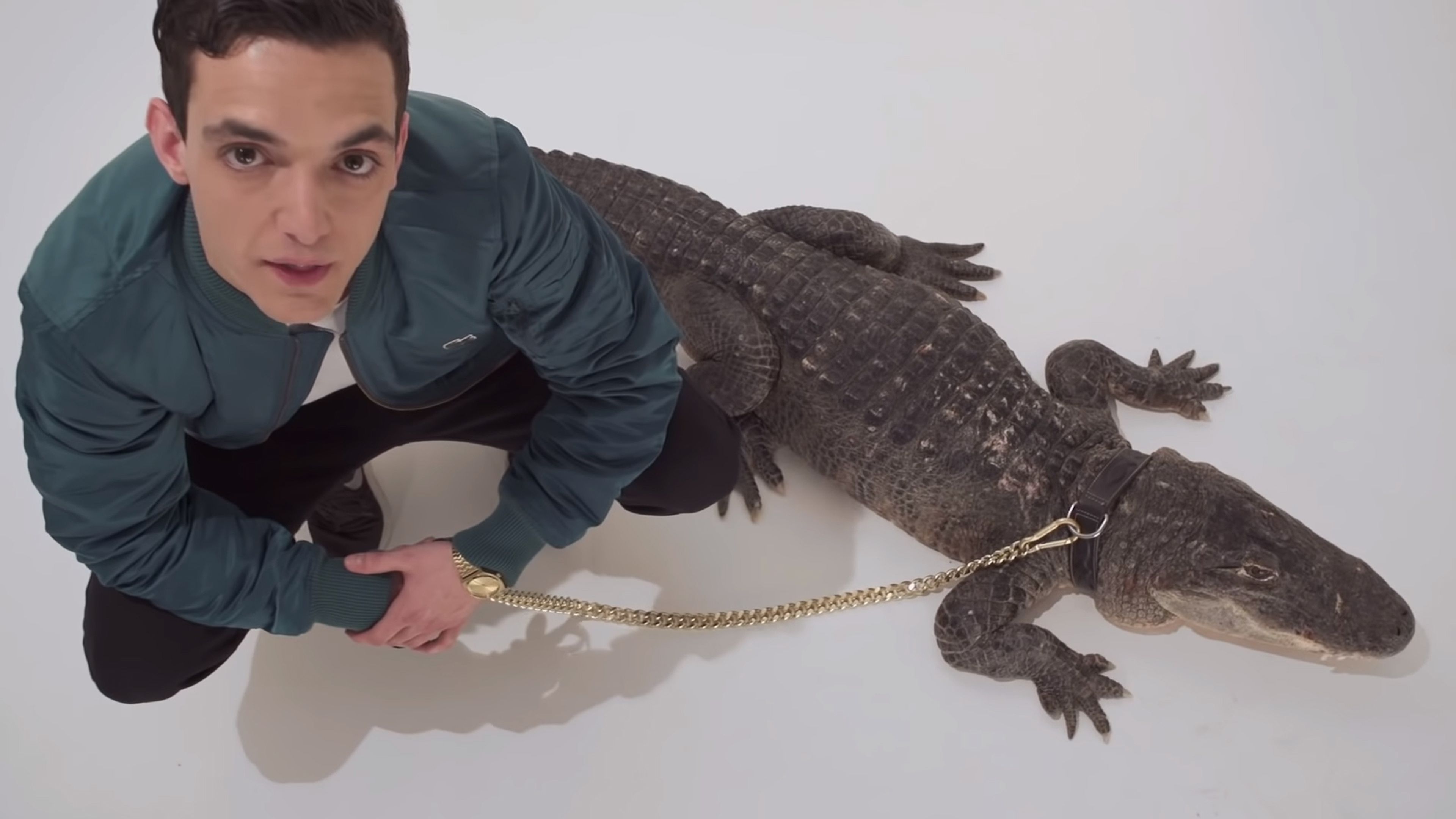 Videoclip de Alligators (2014)