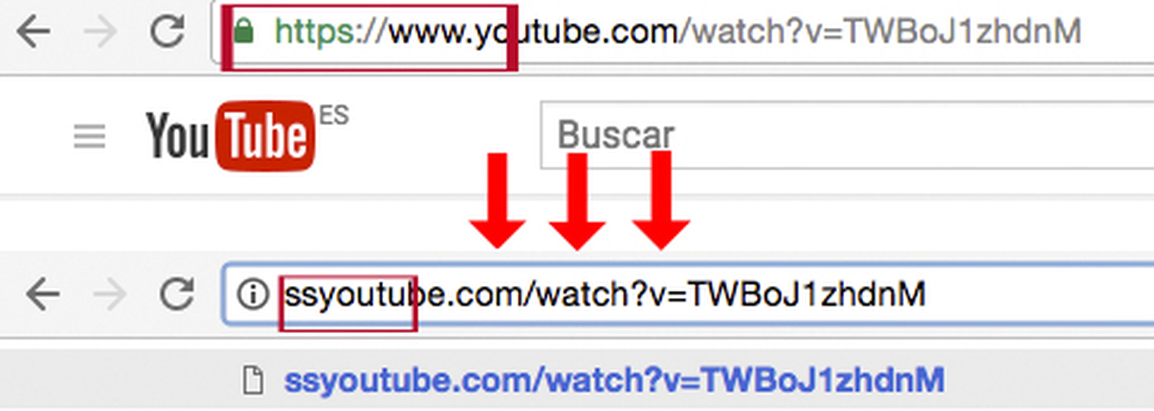 sentido Omitir Principiante Cómo descargar vídeos de YouTube sin usar programas | Business Insider  España