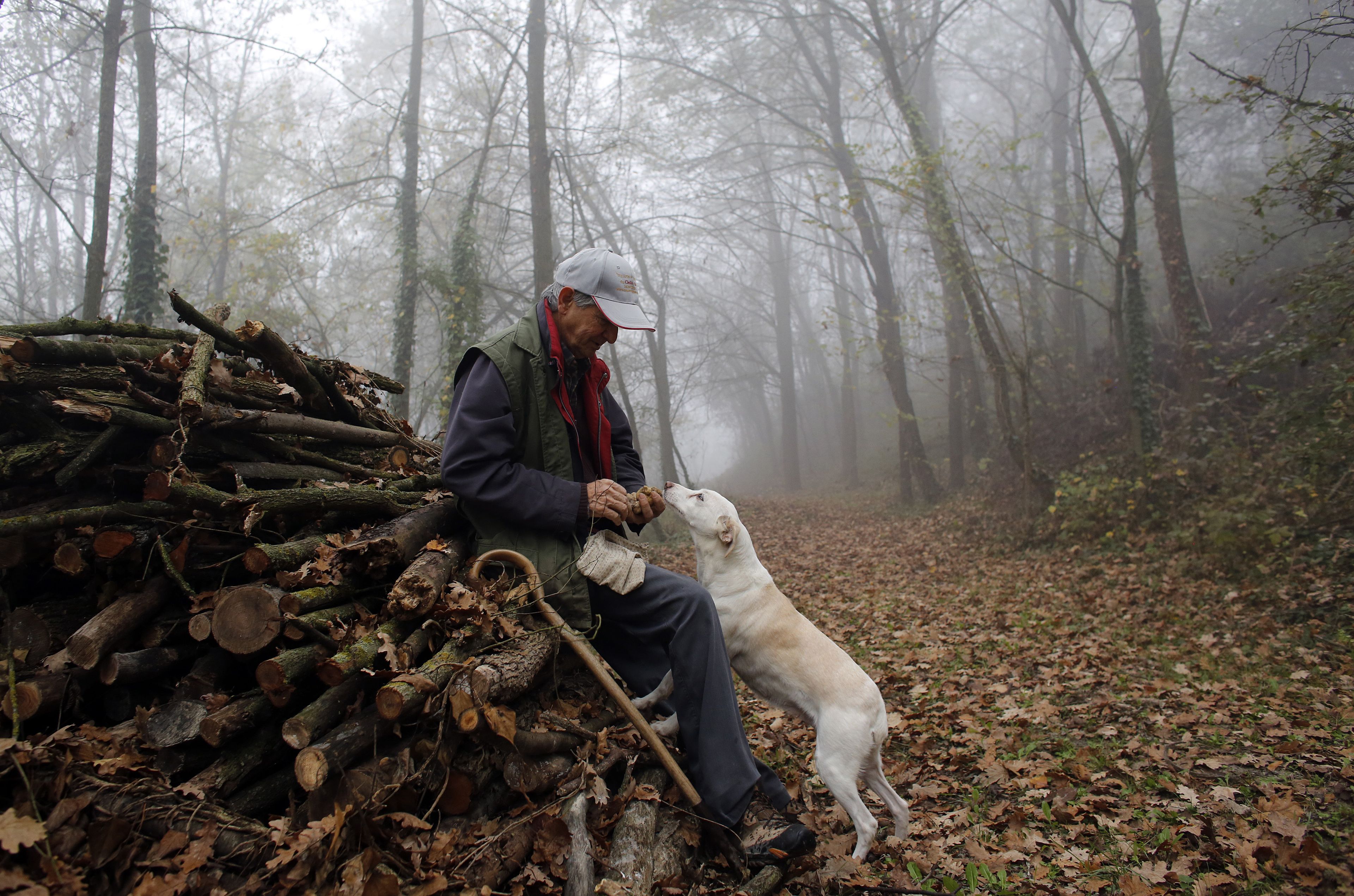 Un recolector revisa una trufa que encontró su perro en el bosque de Monchiero, cerca de Alba, en el noroeste de Italia.