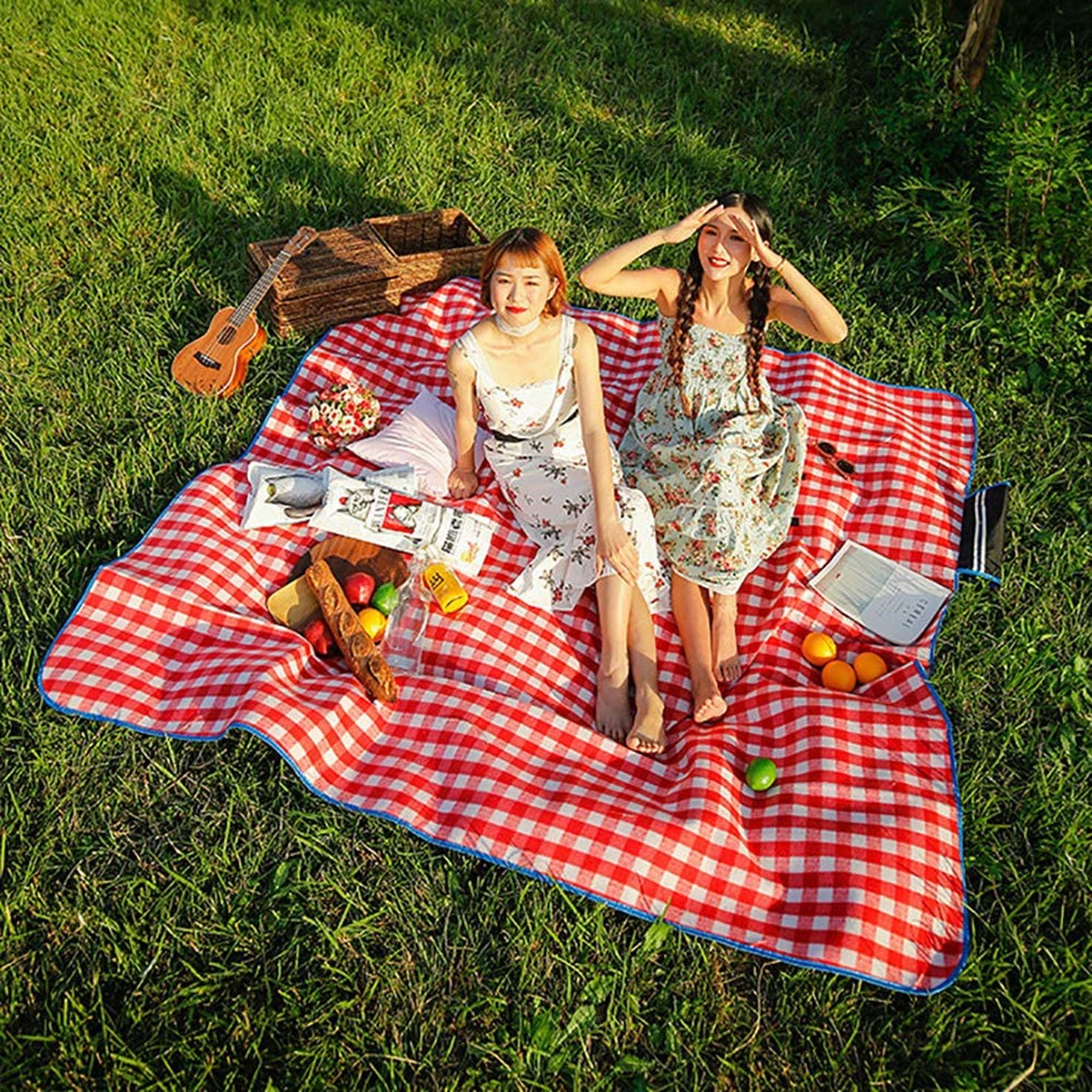 Manta picnic