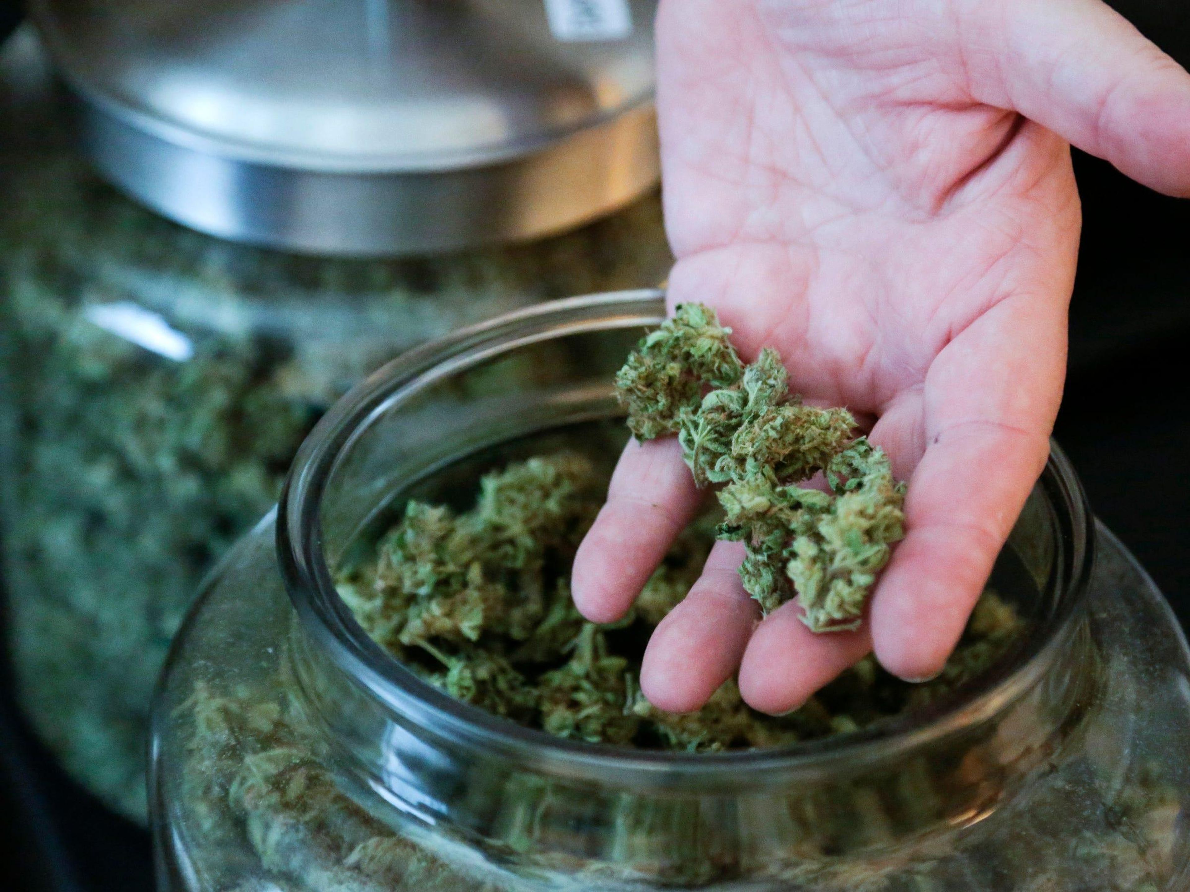 Bob Leeds, copropietario de Sea of ​​Green Farms, muestra parte de la marihuana que produce durante un recorrido por las instalaciones de su empresa en Seattle, Washington, el 30 de junio de 2014.