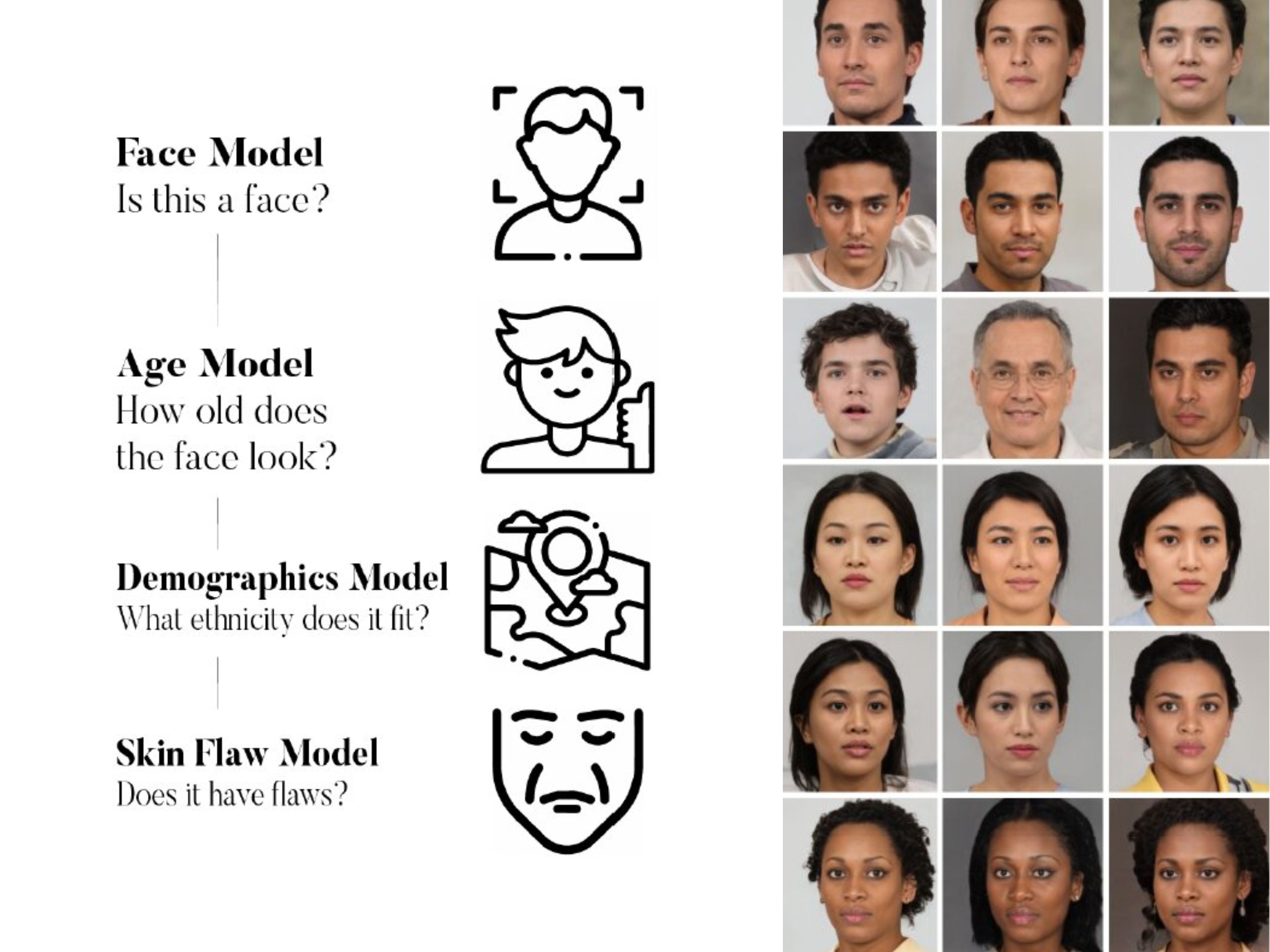 A la izquierda, el modelo basa su análisis en el tipo de rostro, la edad, la etnia y las imperfecciones en la piel; a la derecha, las algunas de las diferentes variedades reconocidas por la IA.