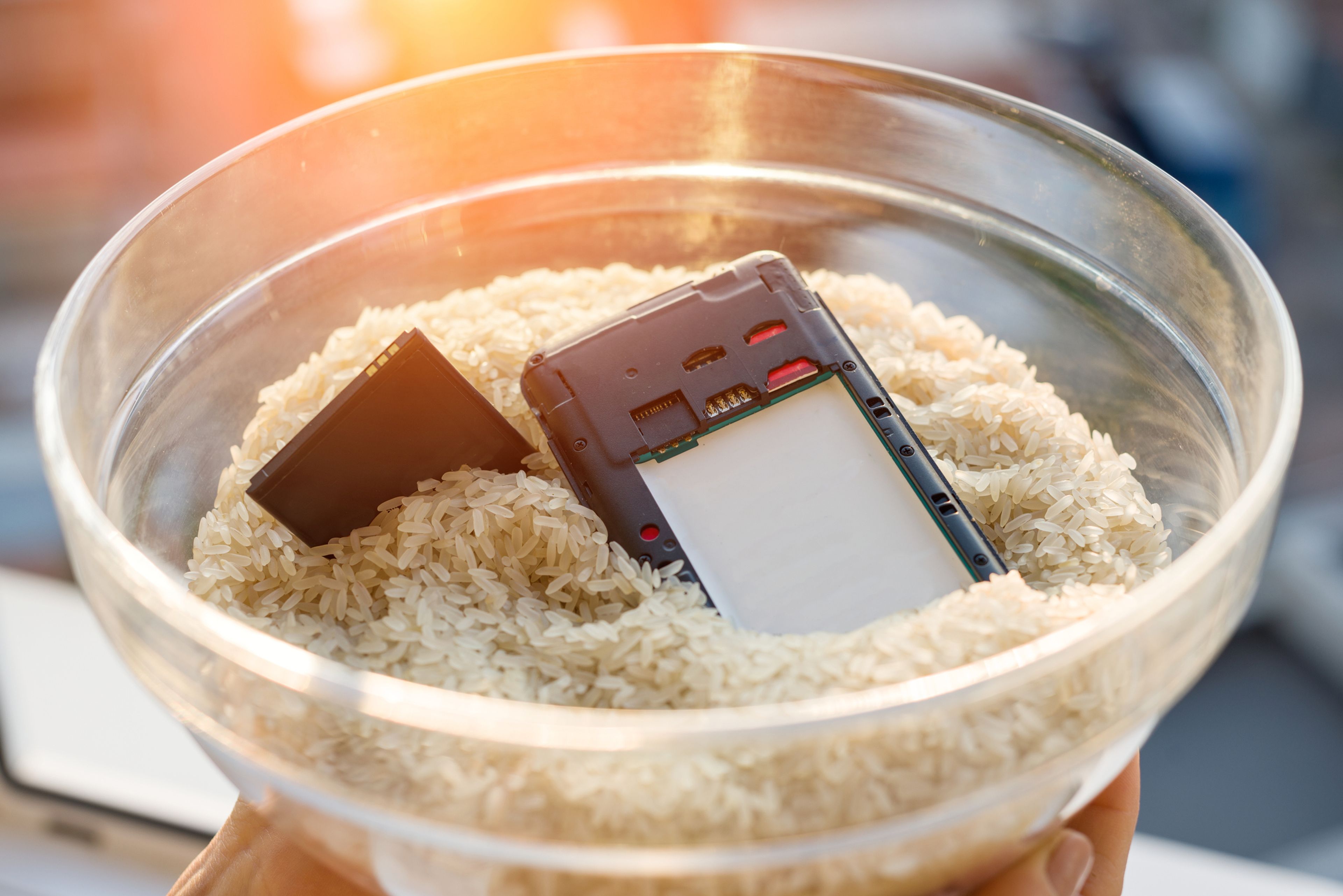 Высушить телефон в домашних. Смартфон в рисе. Айфон в рисе. Сушка телефона в рисе. Высушить телефон в рисе.