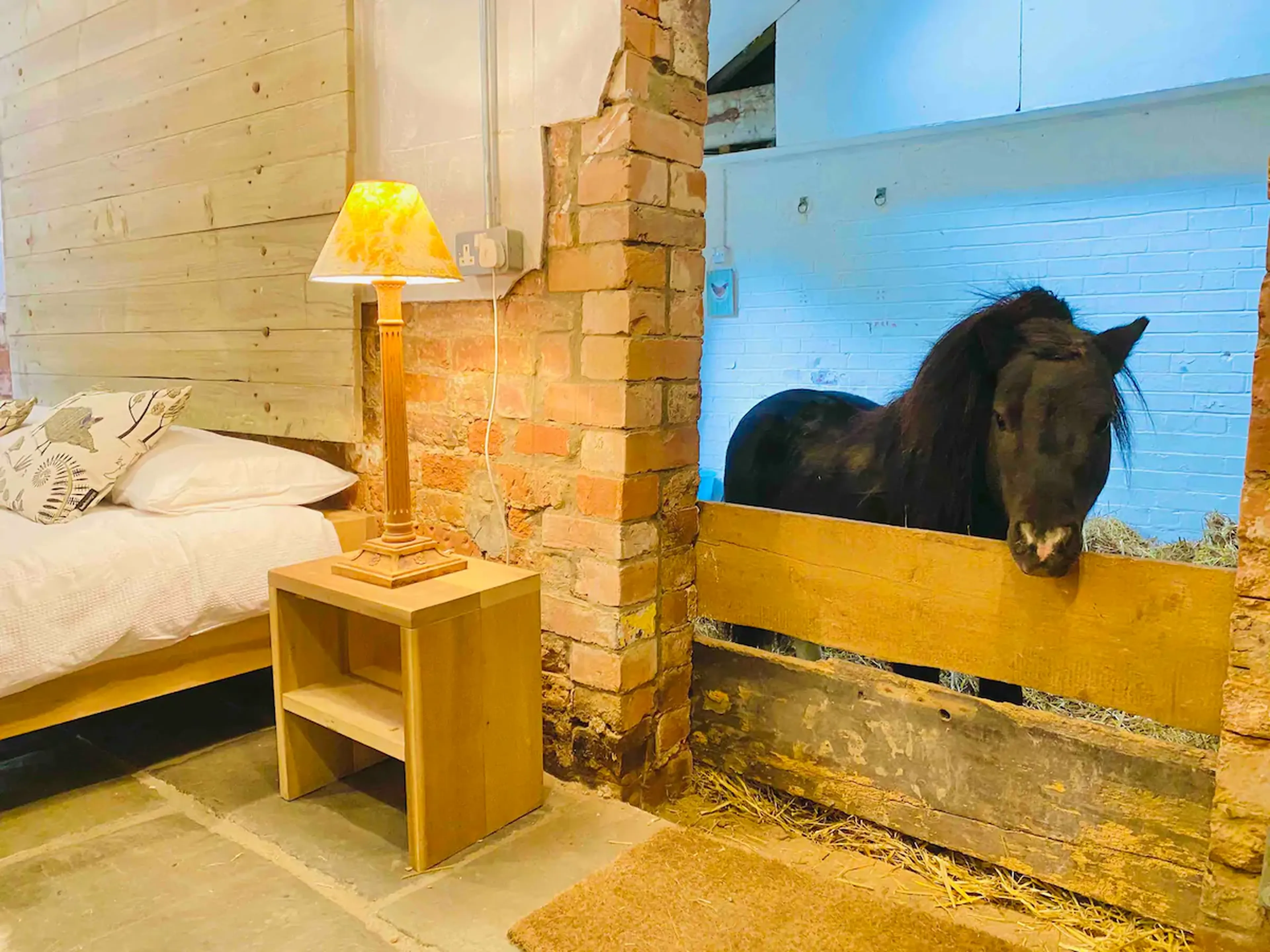 Airbnb pony