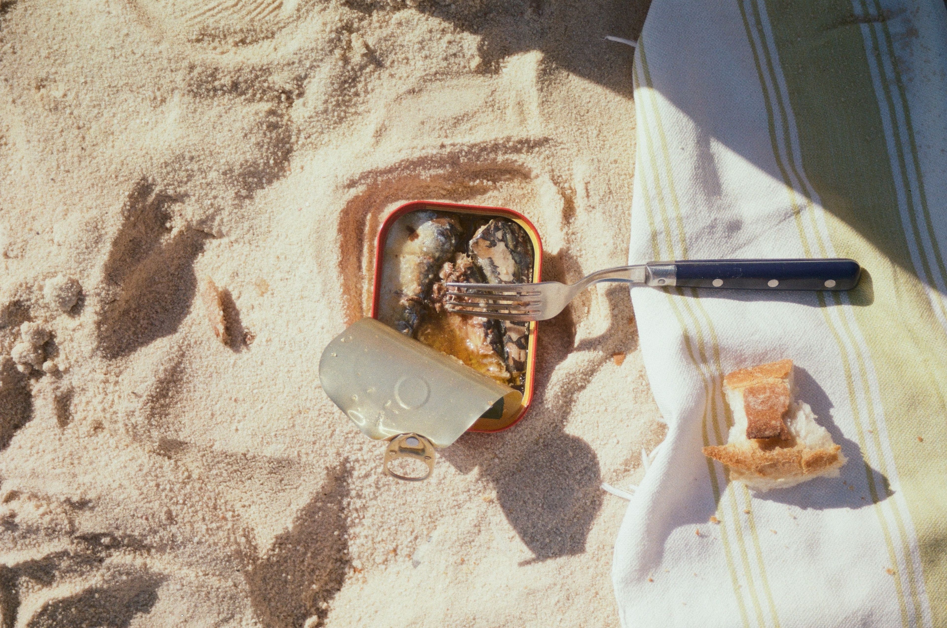lata de sardinas en la playa, conservas