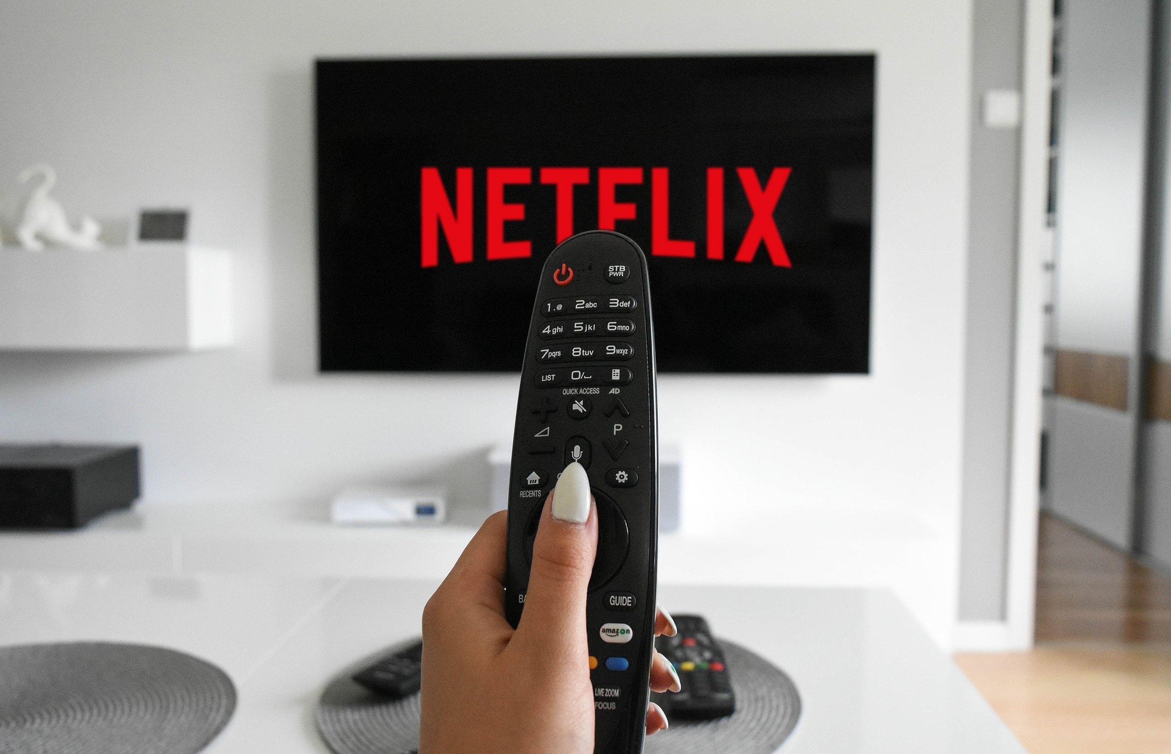 Una persona pone Netflix en la televisión (Pixabay)