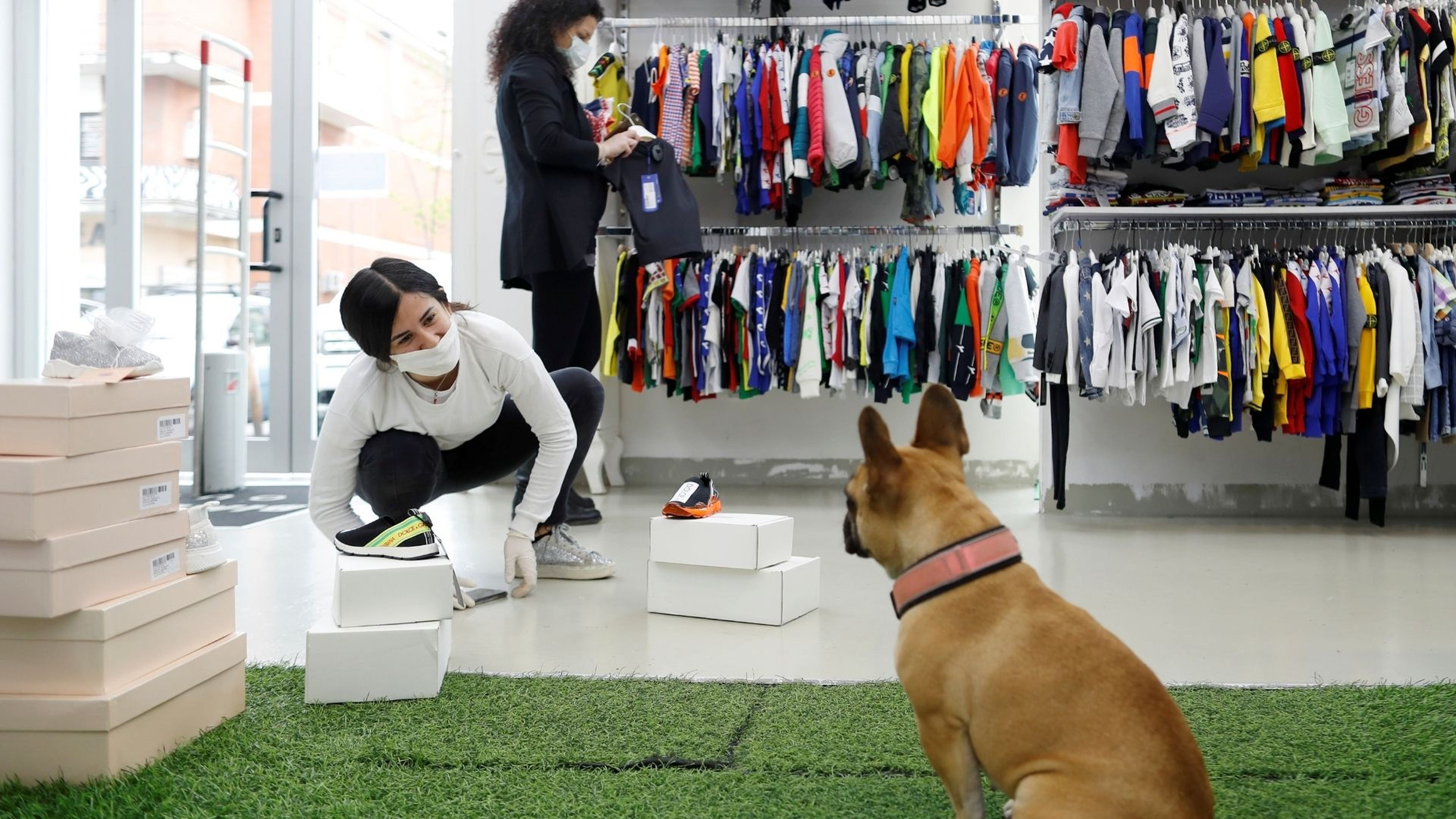 ¿Qué tiendas admiten perros en su interior mientras los dueños compran?