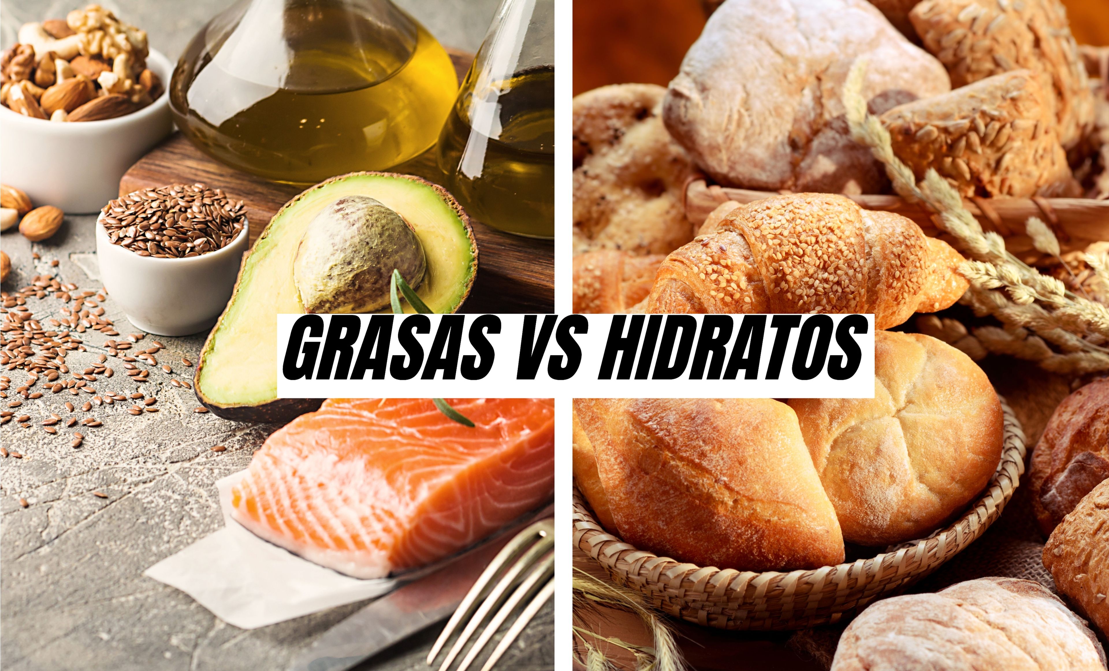 Grasas vs Hidratos