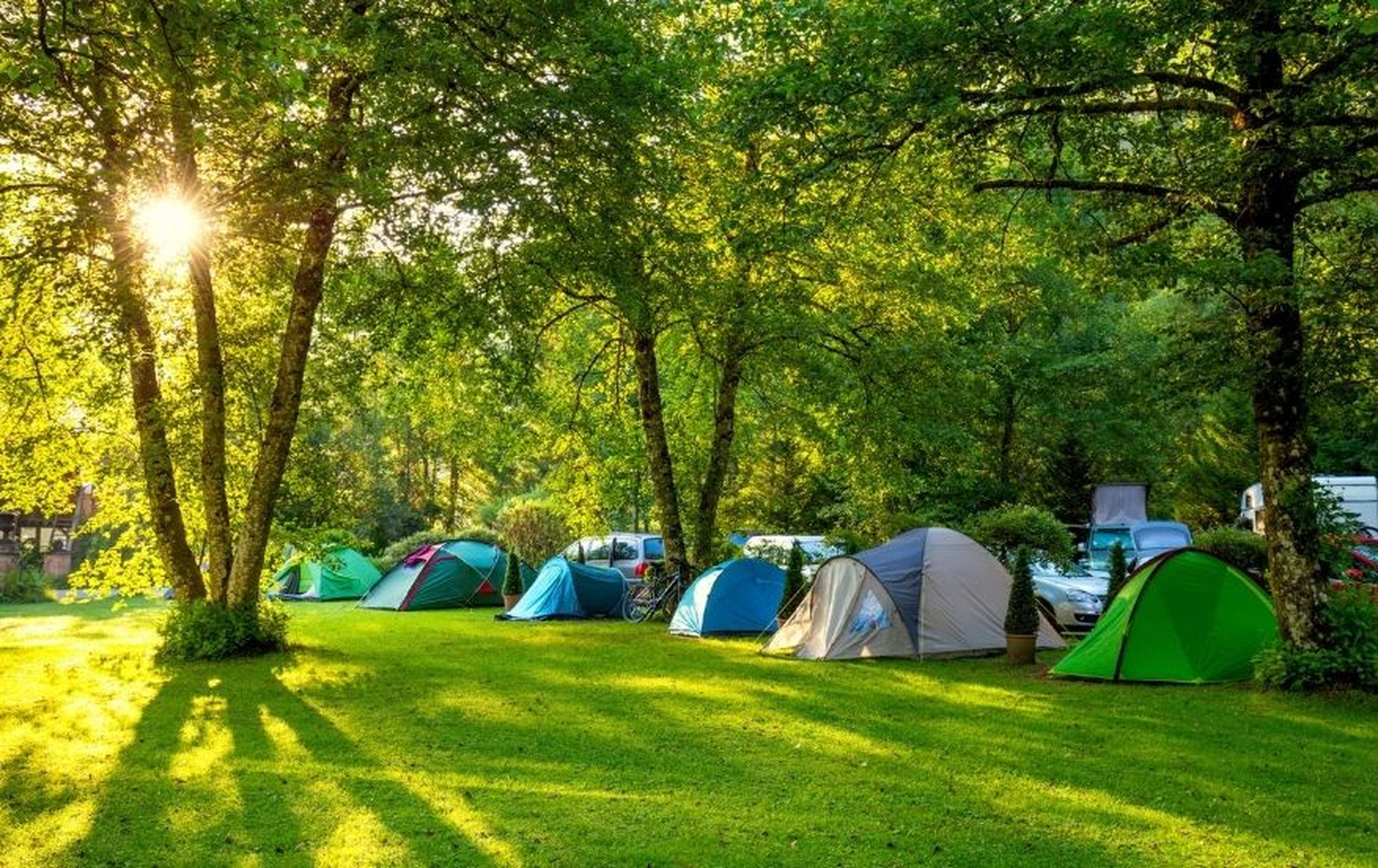 Varias tiendas de campaña en un camping.