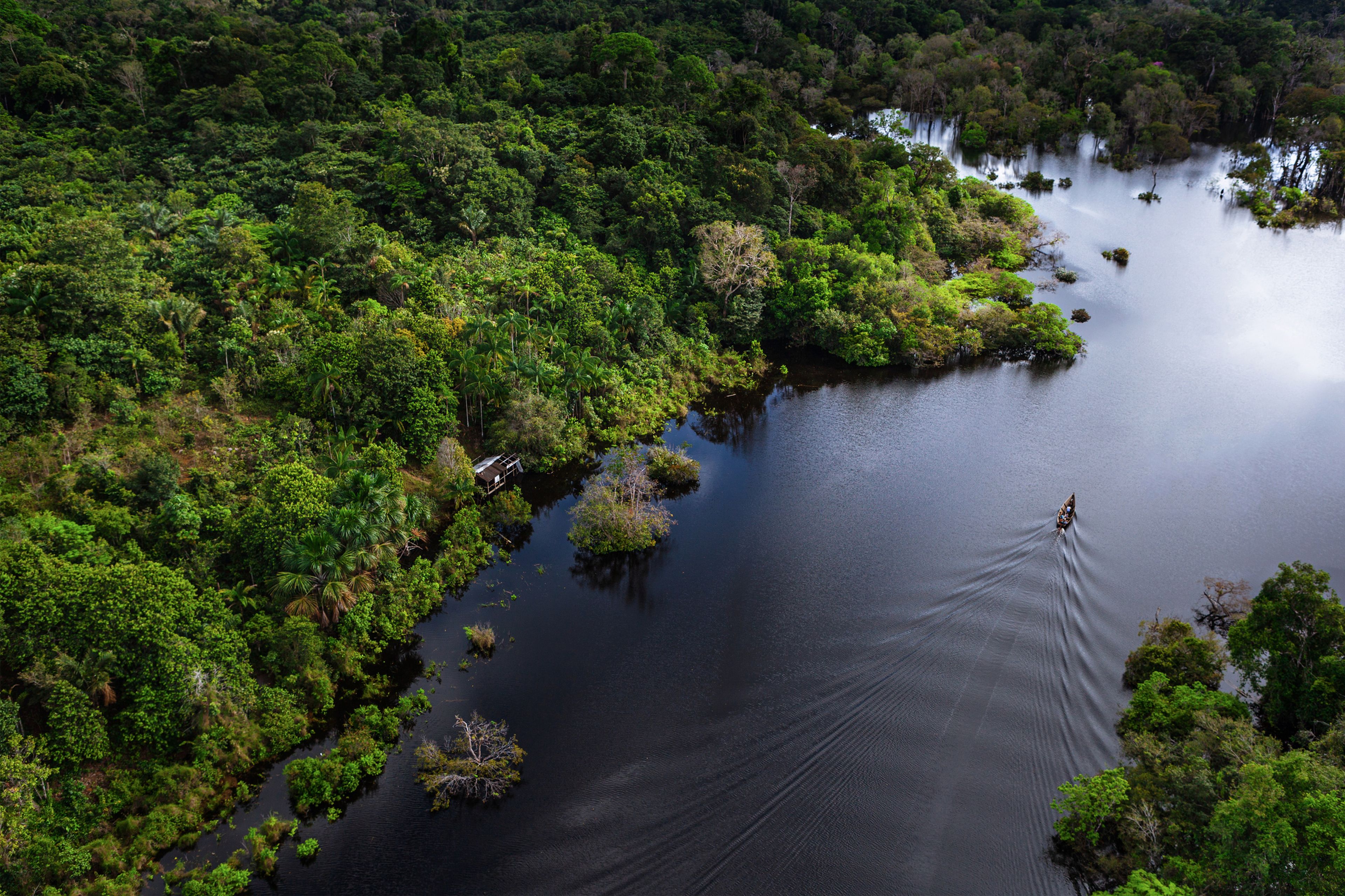 Vista aérea del amazonas y el río