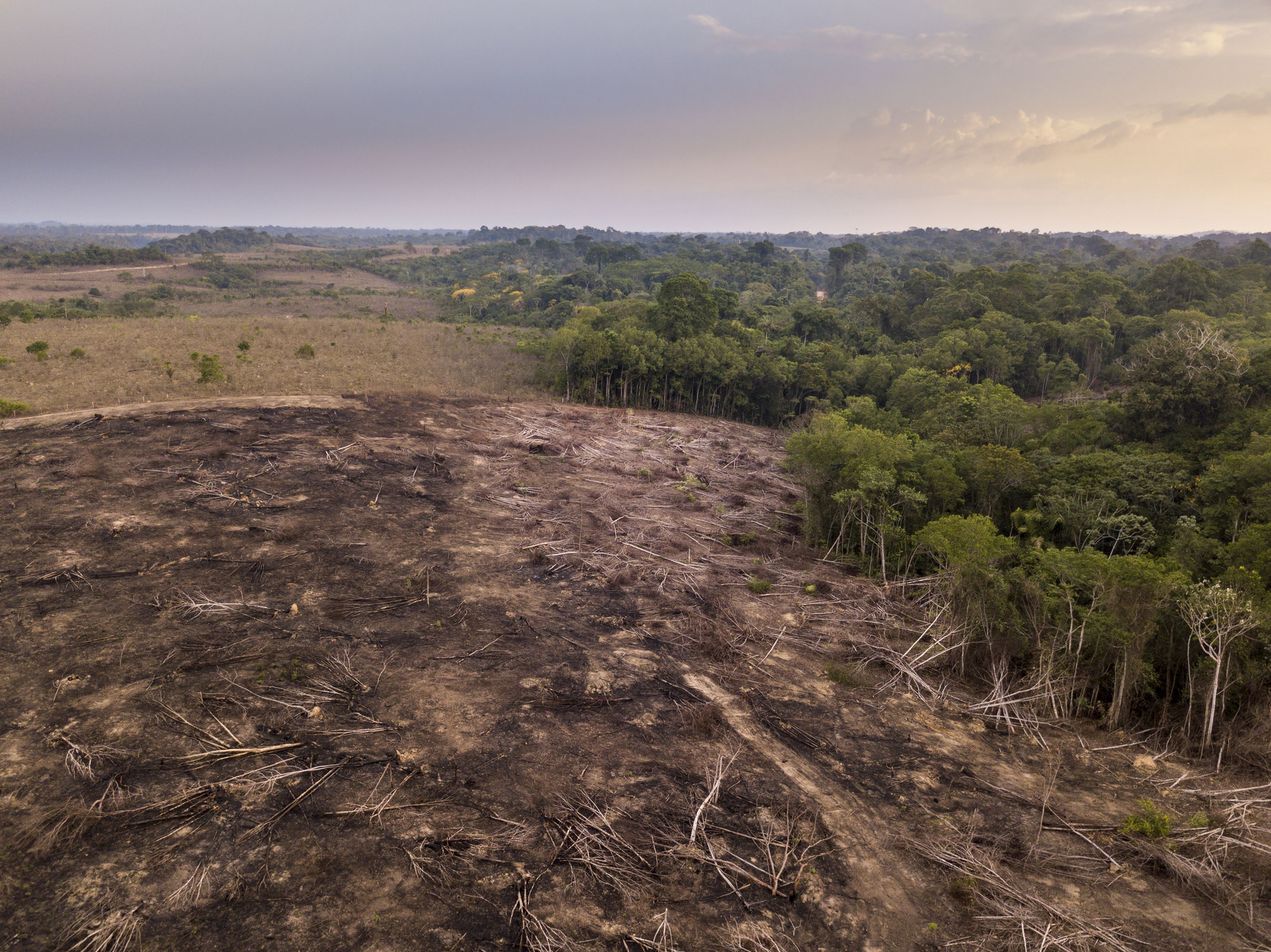 Vista aérea de drones de la deforestación en la selva amazónica en Brasil.